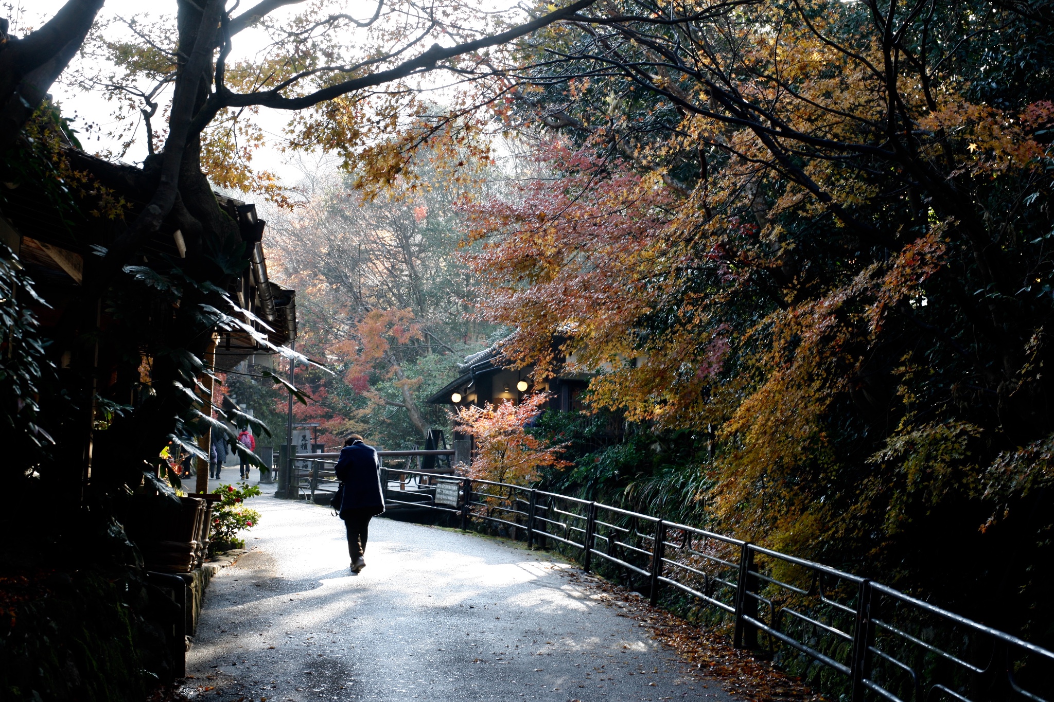 京都自助遊攻略