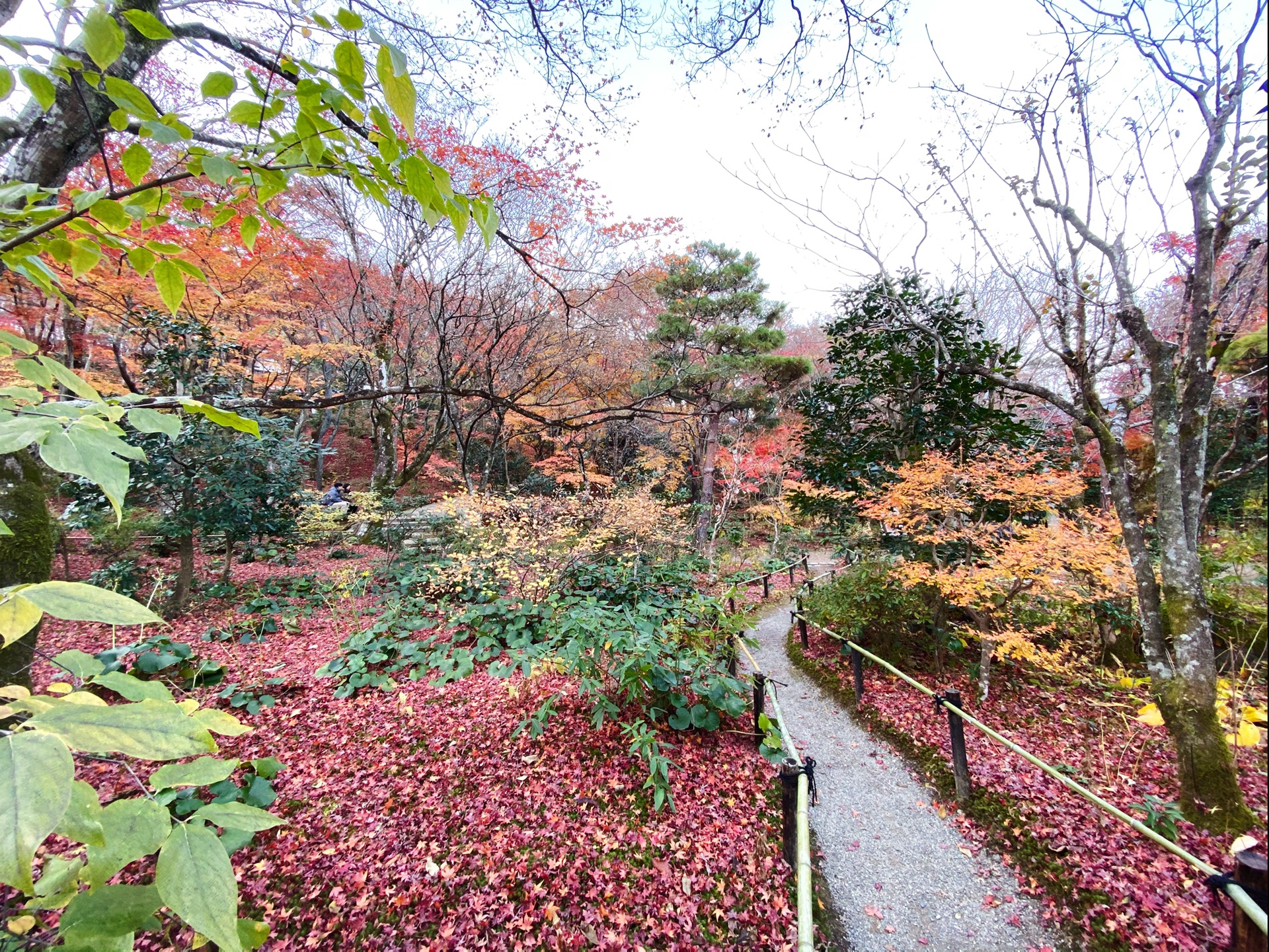 京都自助遊攻略