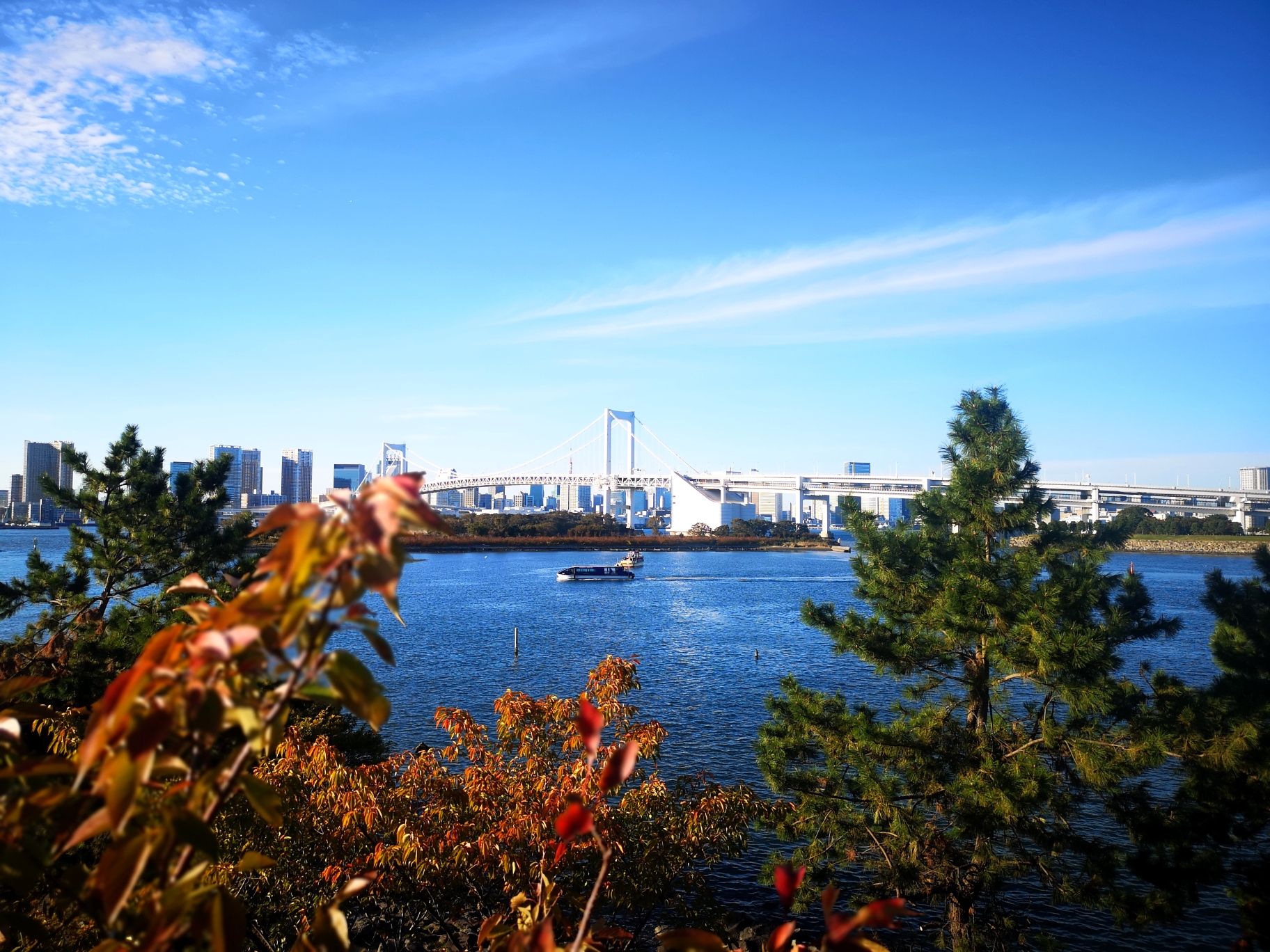 東京自助遊攻略