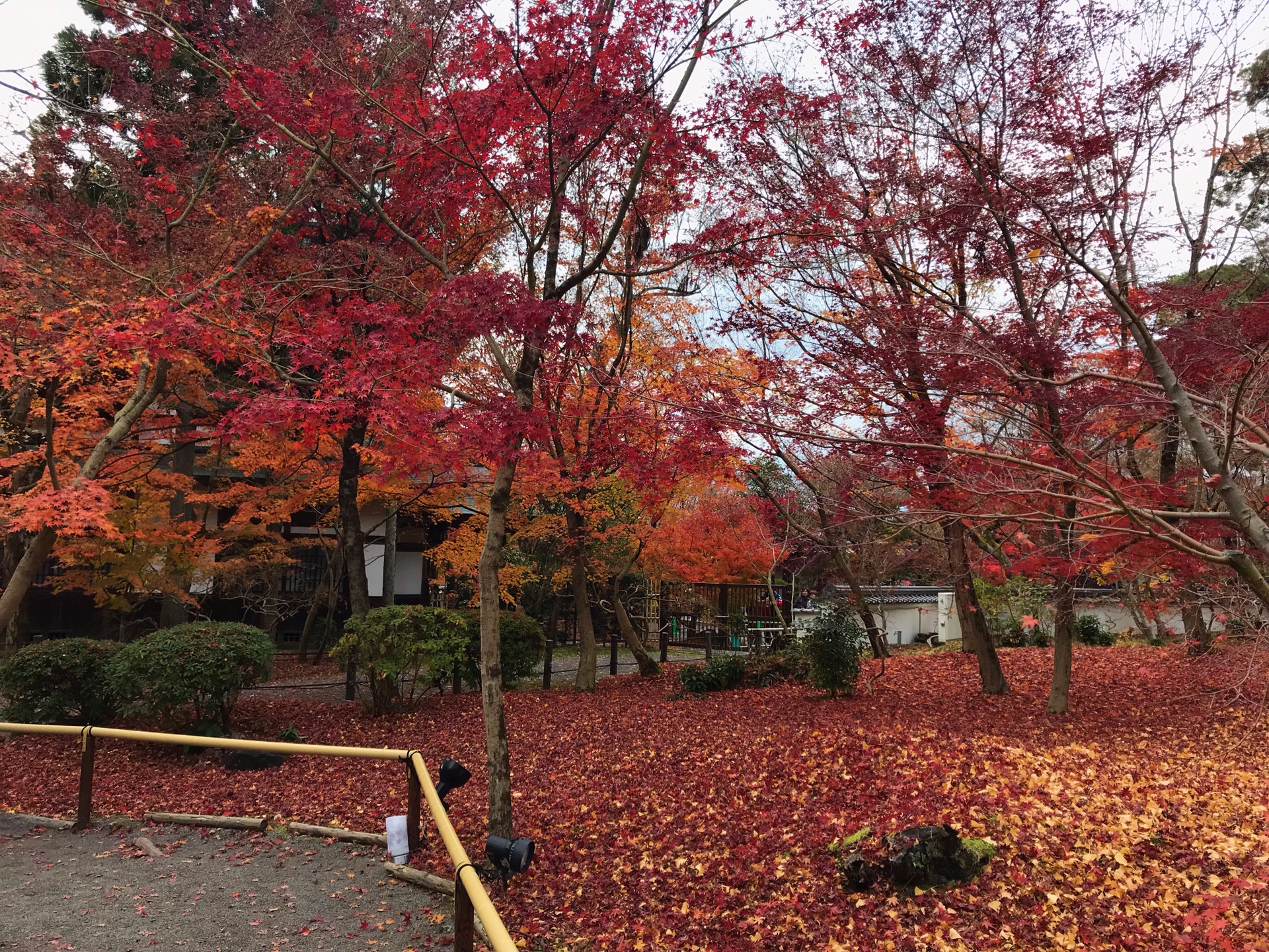 京都自助遊攻略