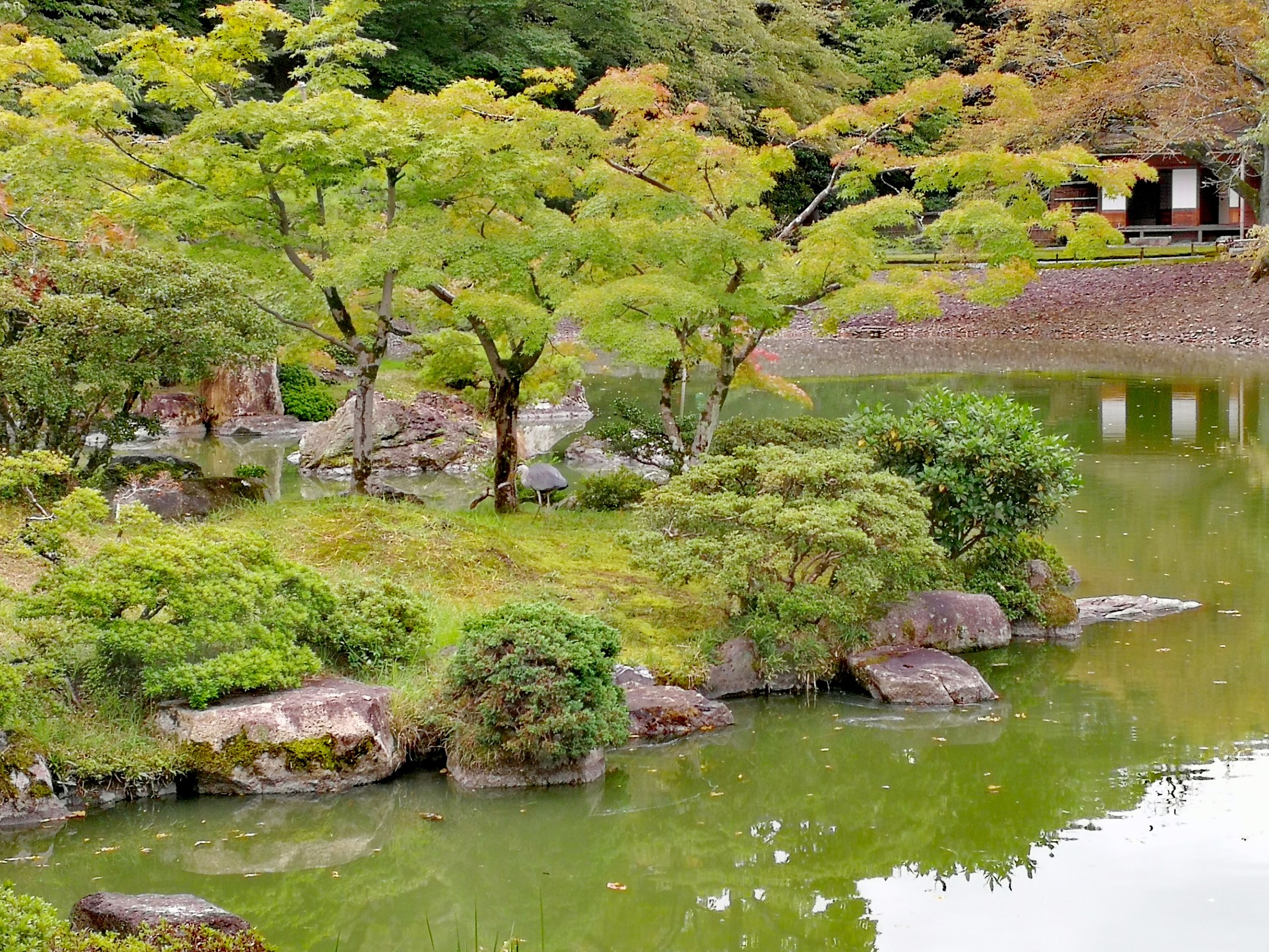 京都自助遊攻略