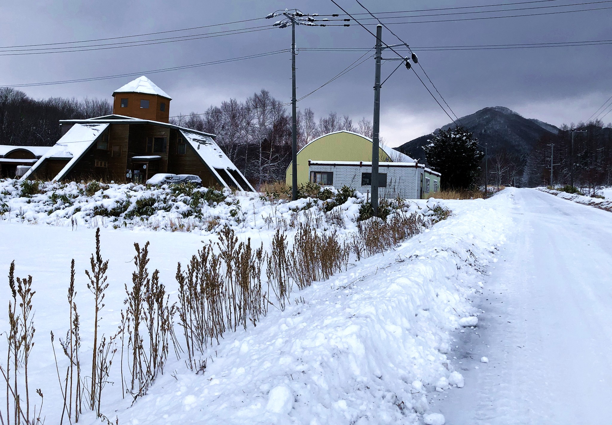 北海道自助遊攻略