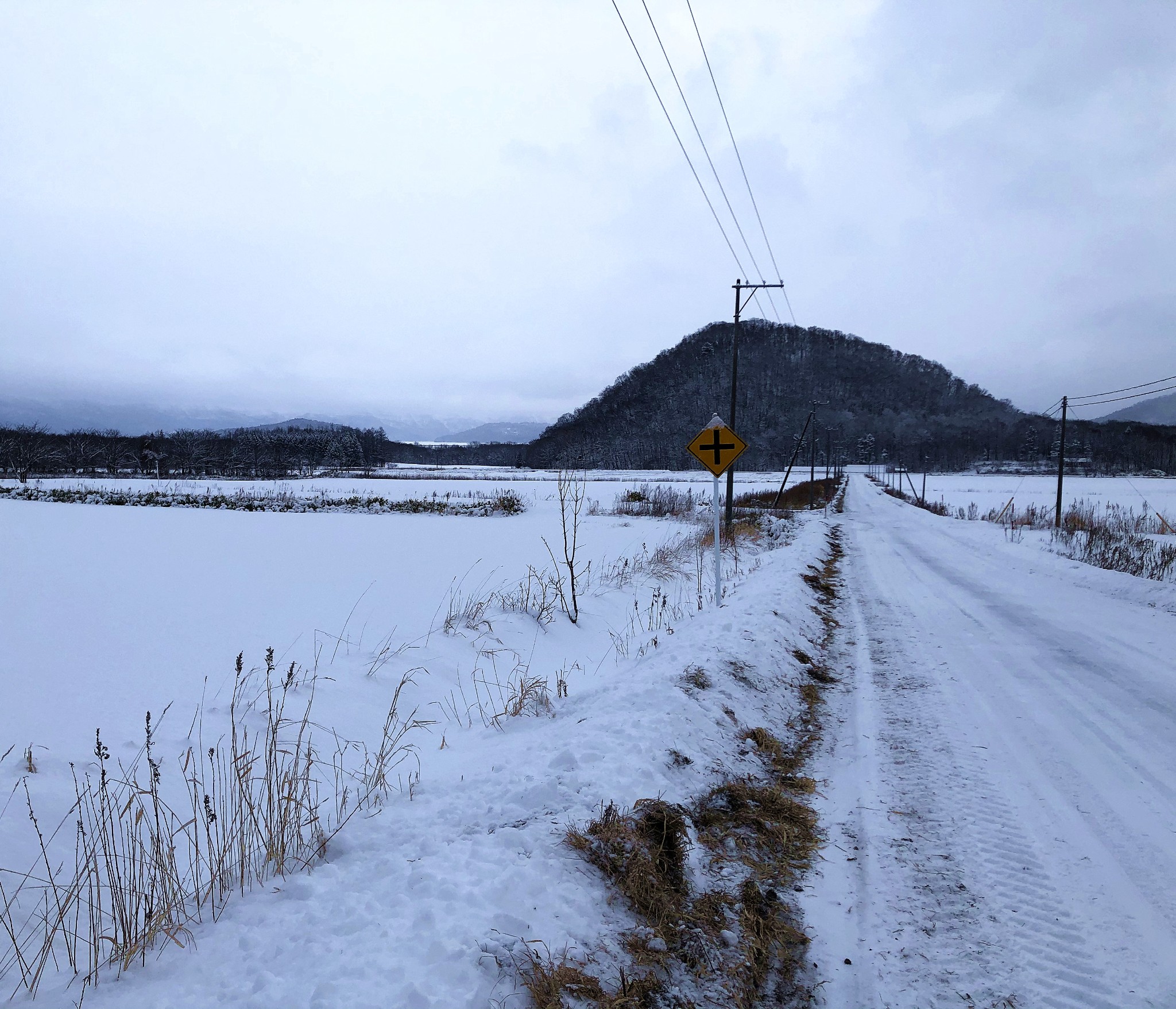 北海道自助遊攻略