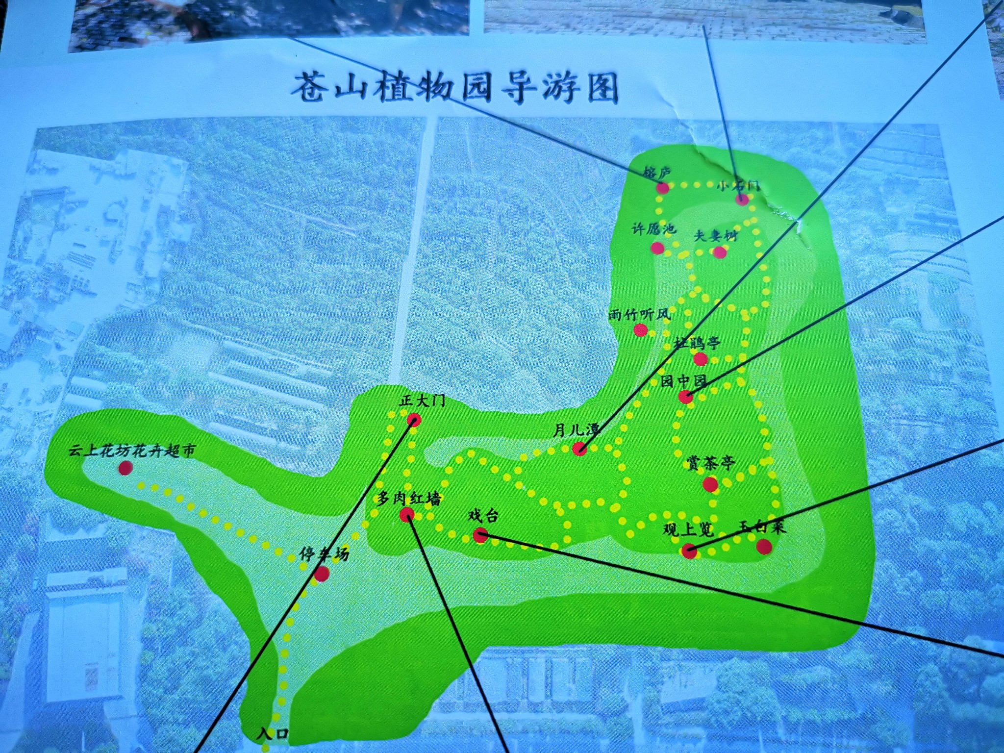 大理苍山植物园 概况图片