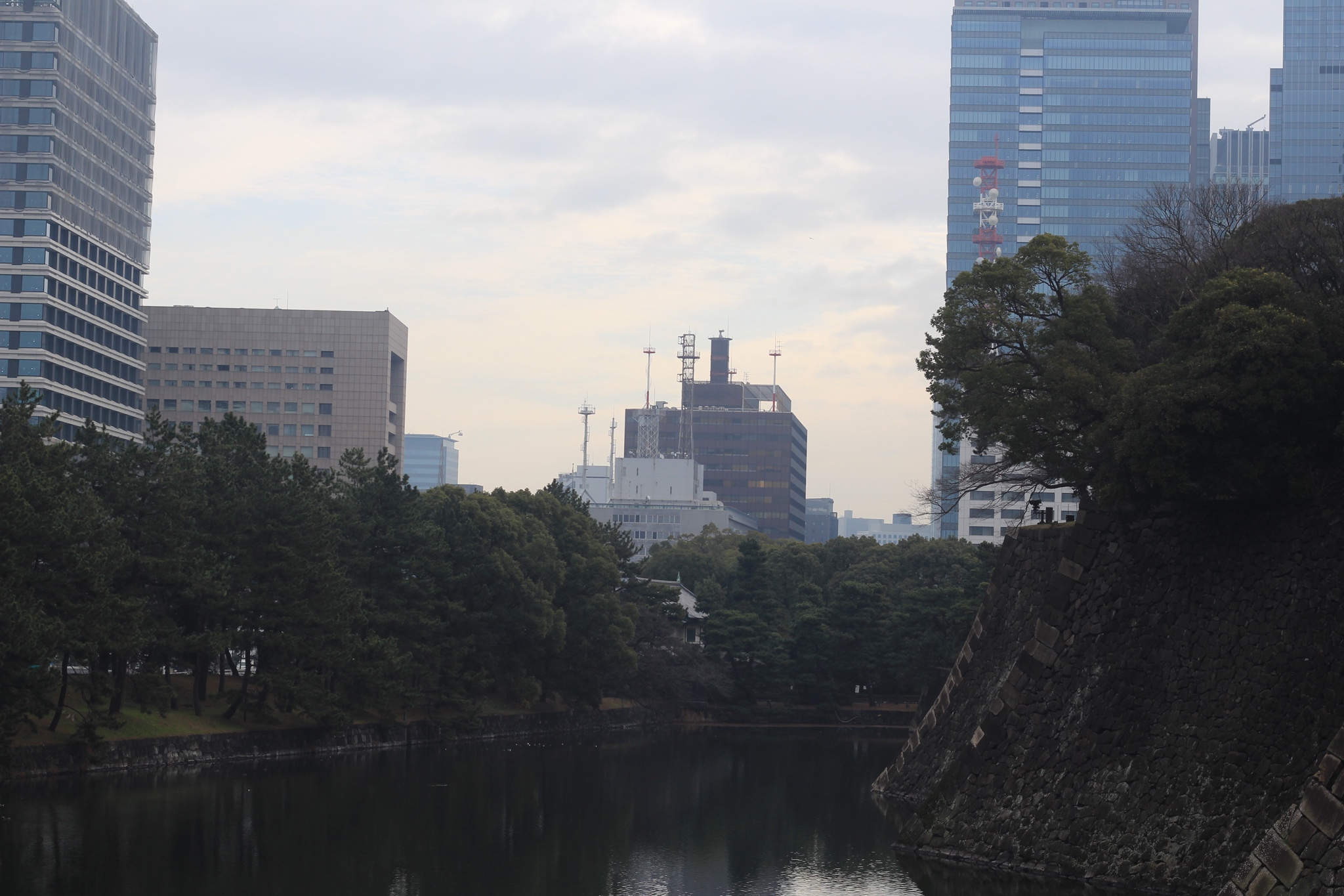 東京自助遊攻略