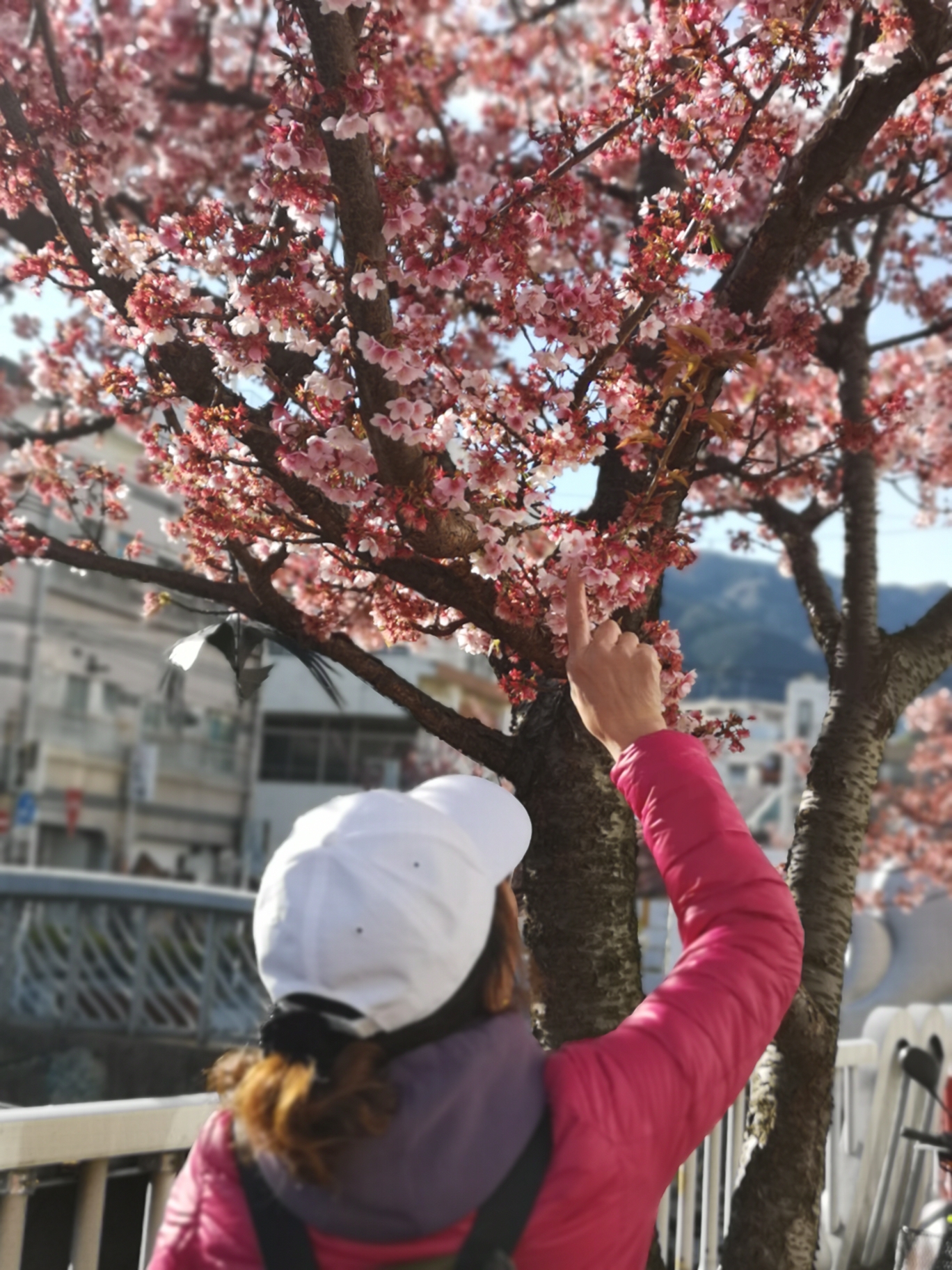 東京自助遊攻略