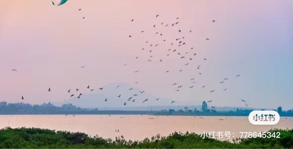 阳江海韵山庄(阳西县)