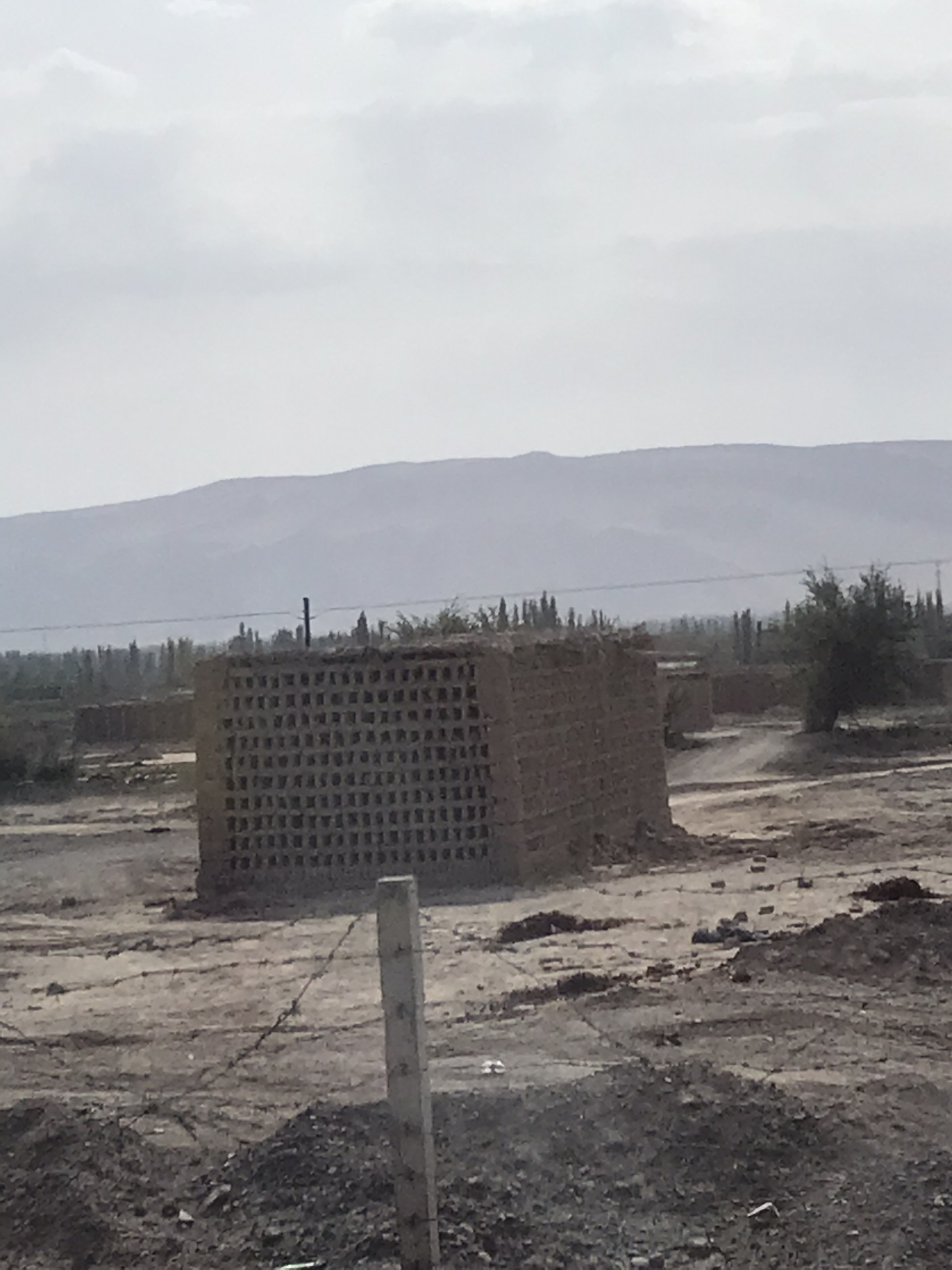 连木沁绿宝快餐厅