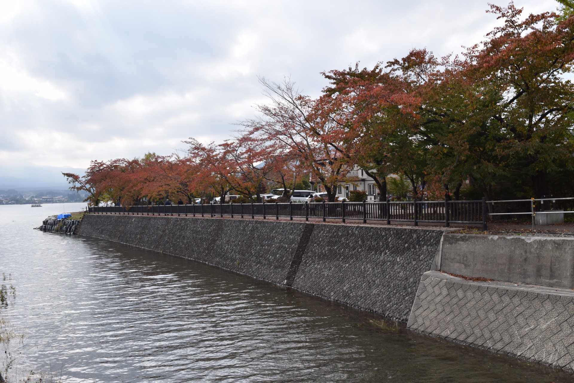 東京自助遊攻略