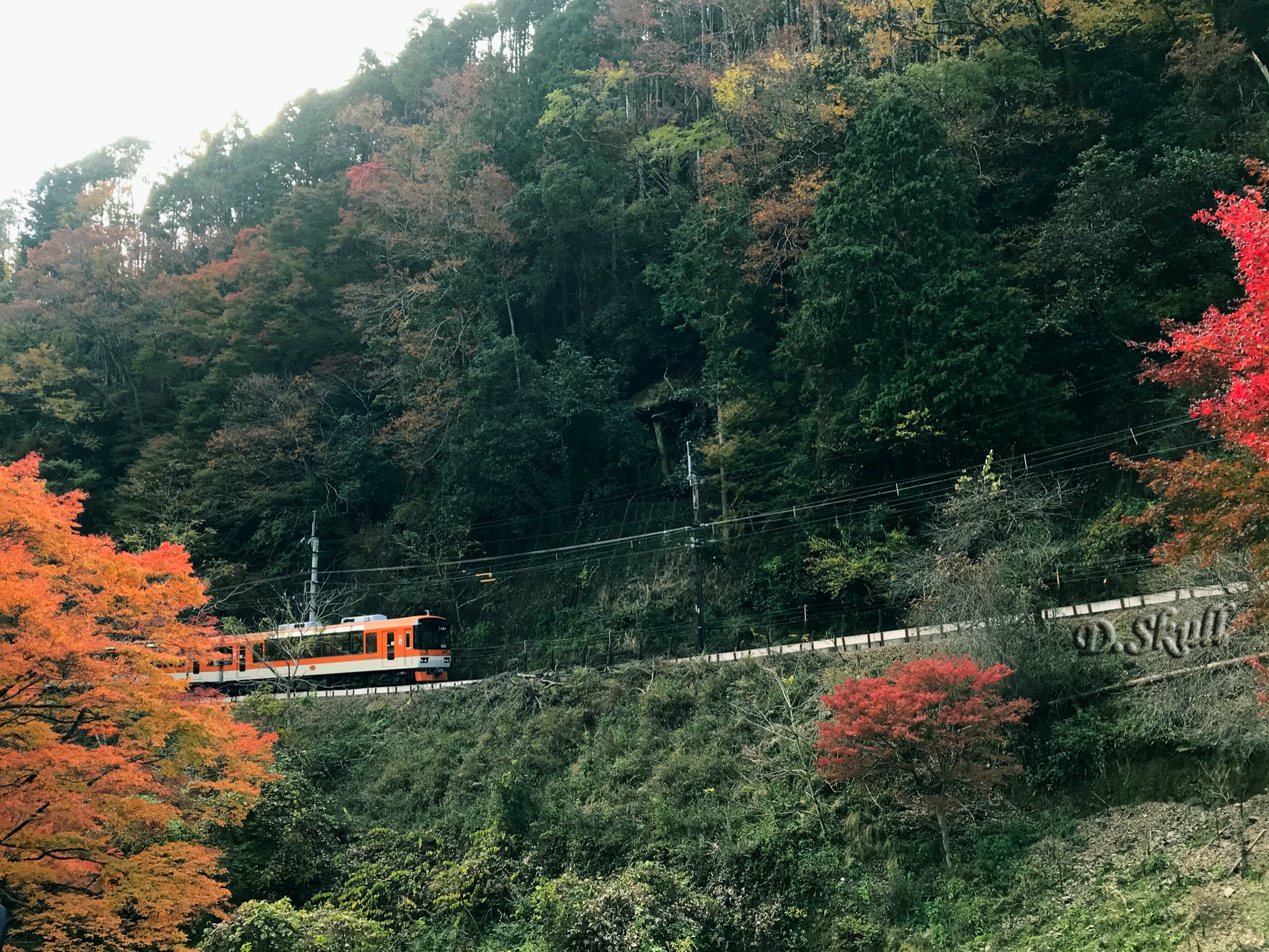 京都自助遊攻略