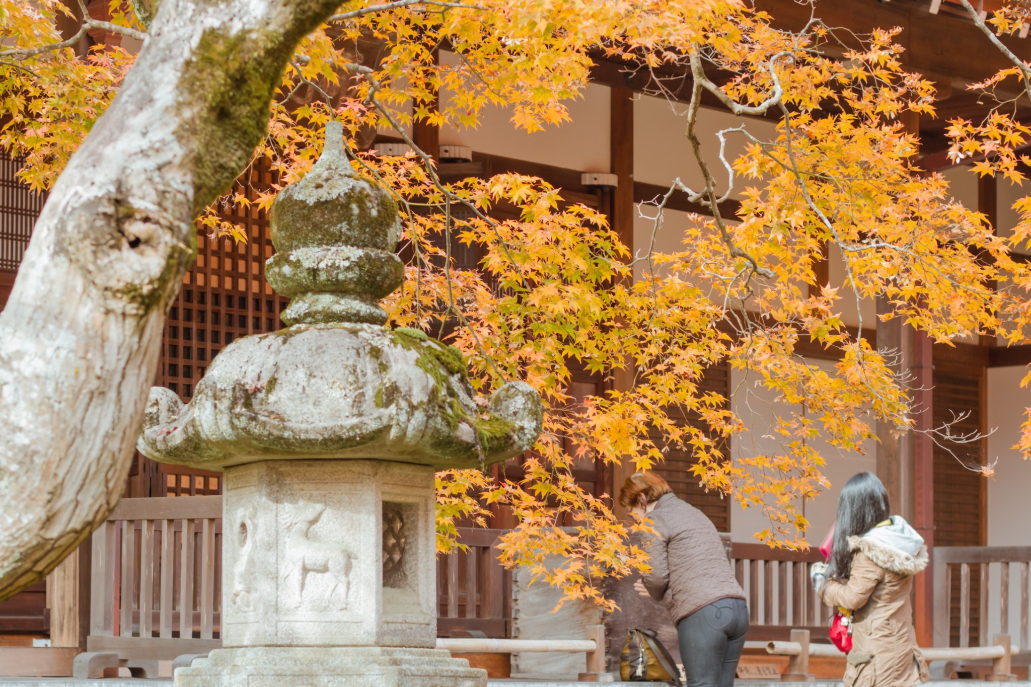 京都自助遊攻略