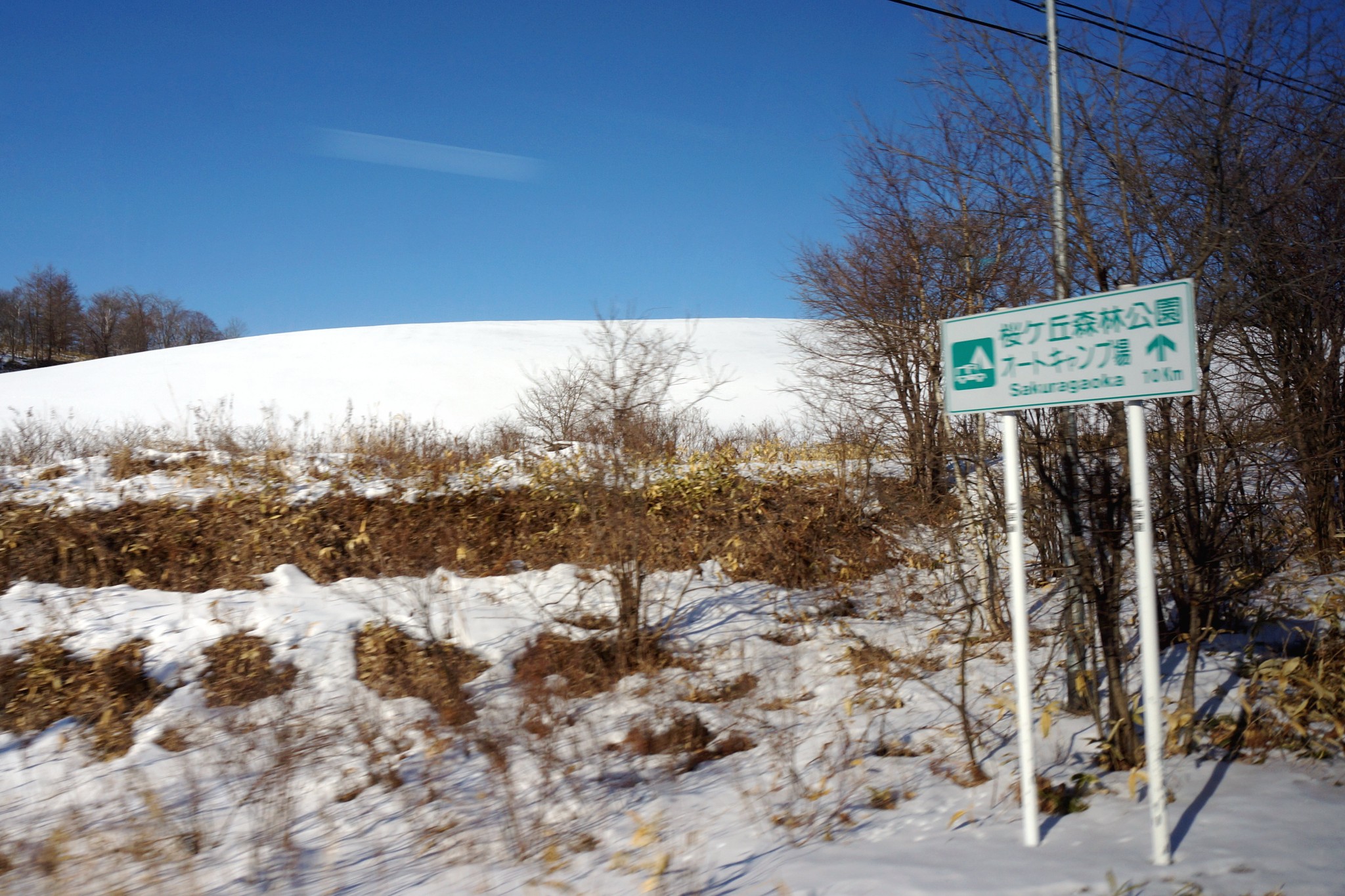 北海道自助遊攻略