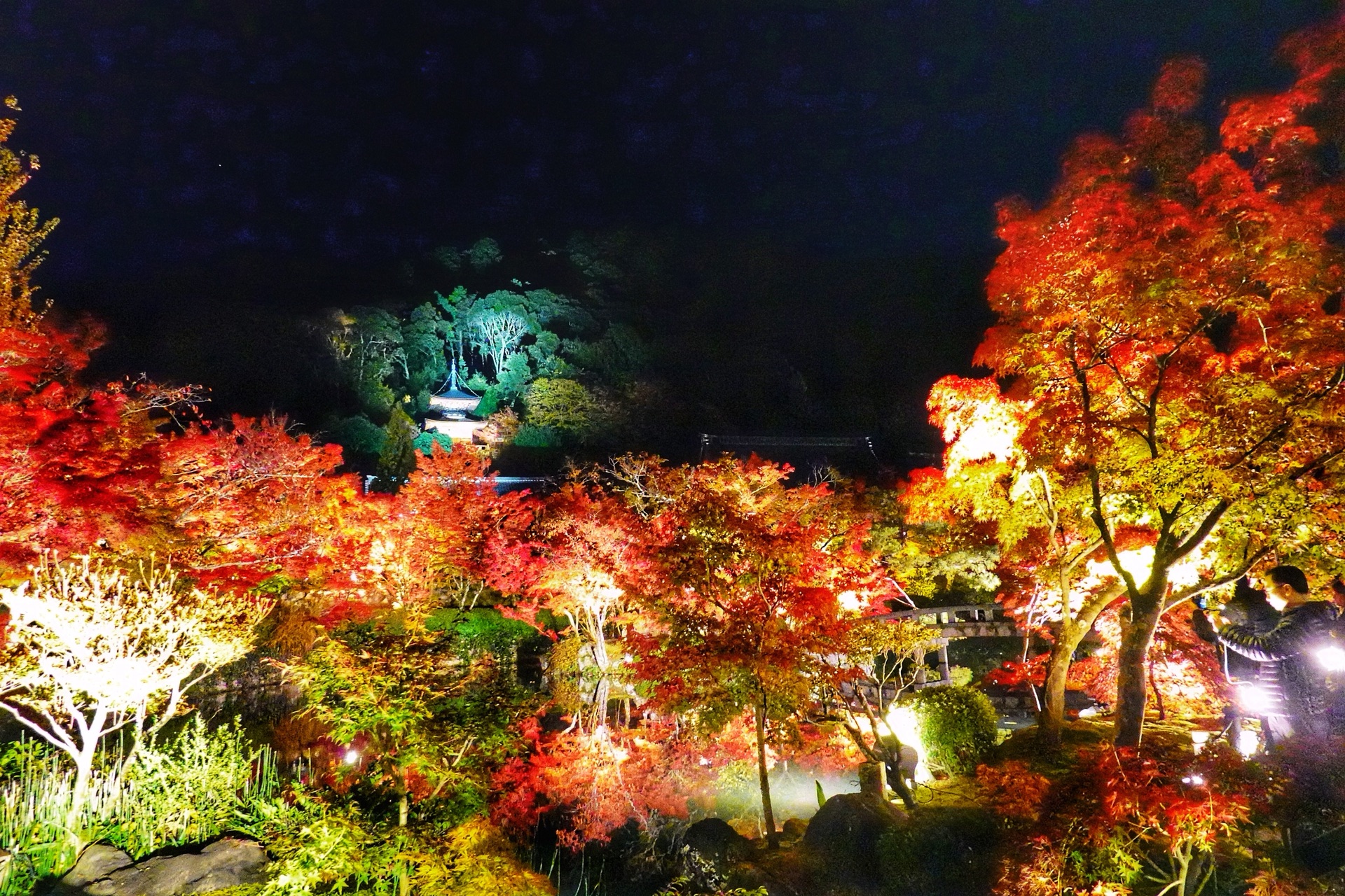 京都自助遊攻略