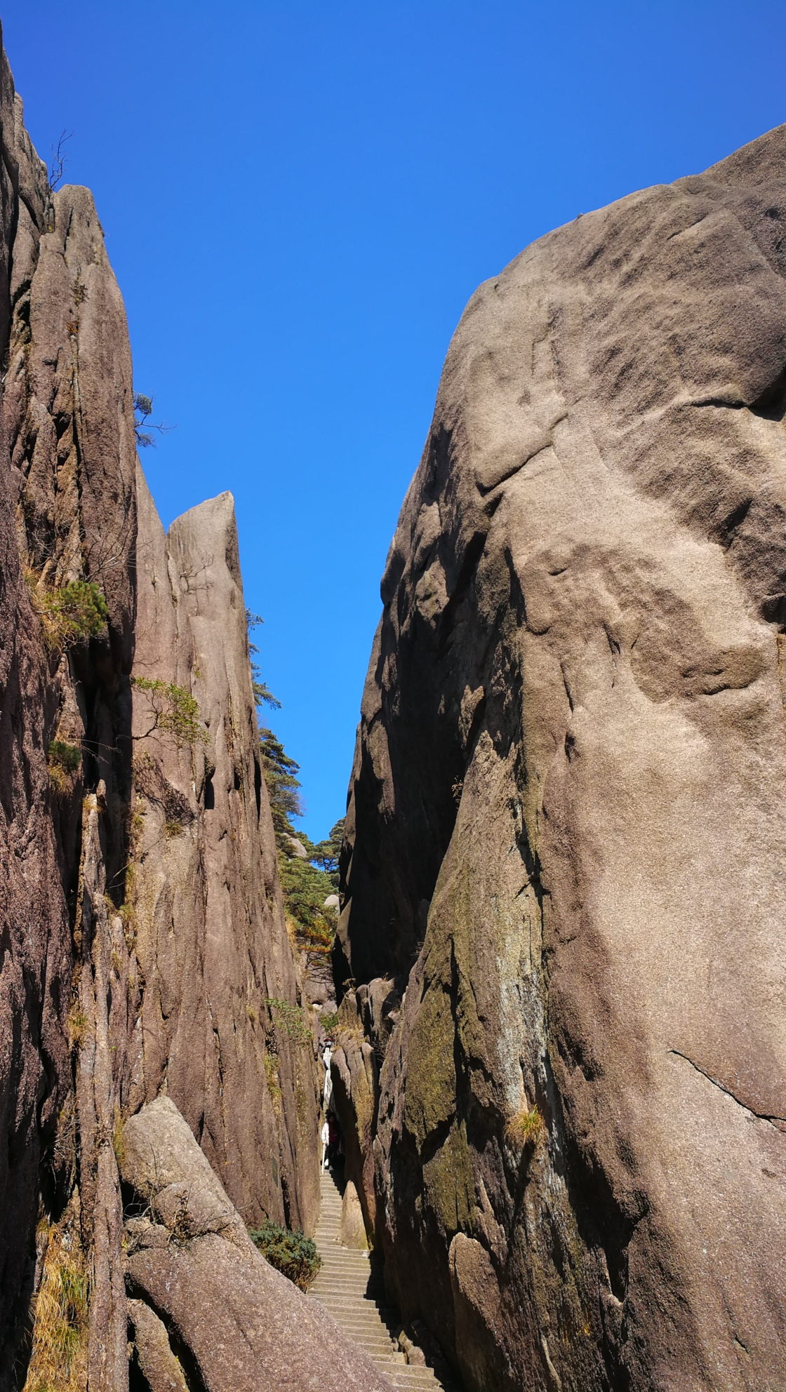 登黃山,天下無山,黃山旅遊攻略 - 馬蜂窩