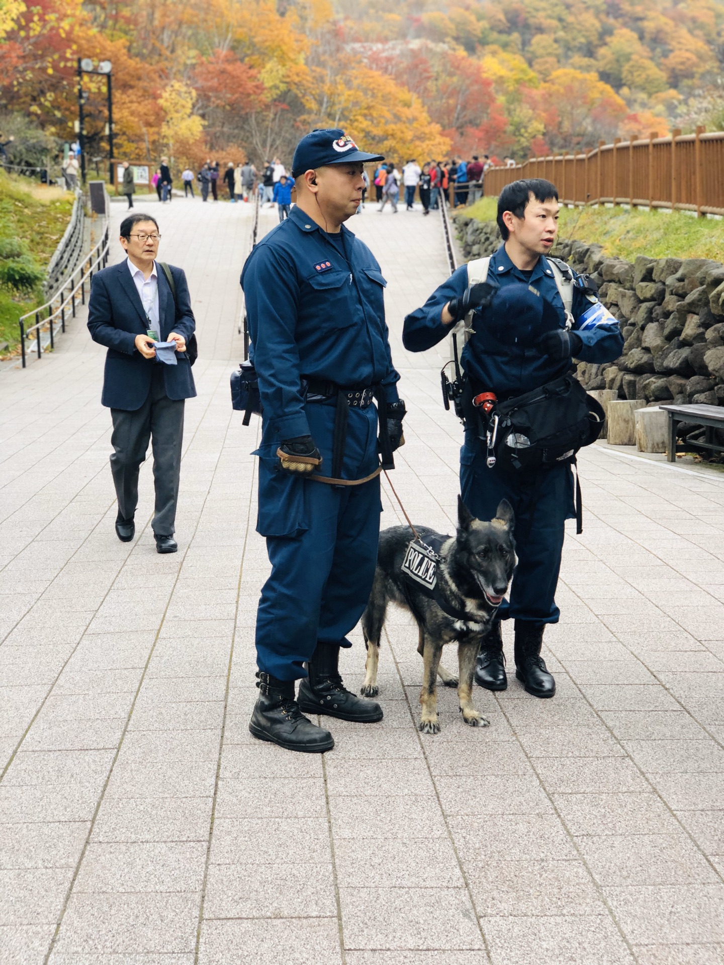 北海道自助遊攻略