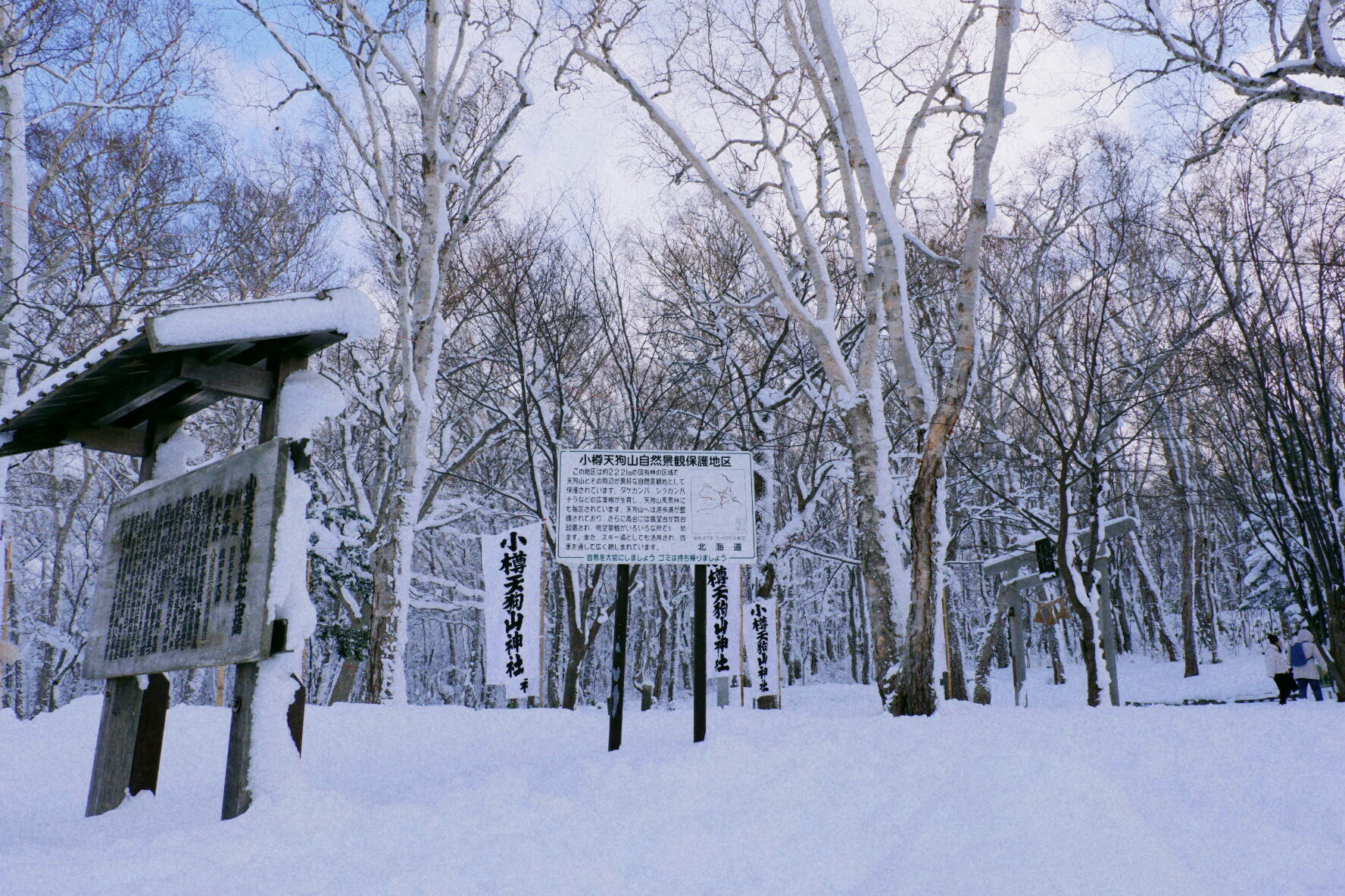 北海道自助遊攻略