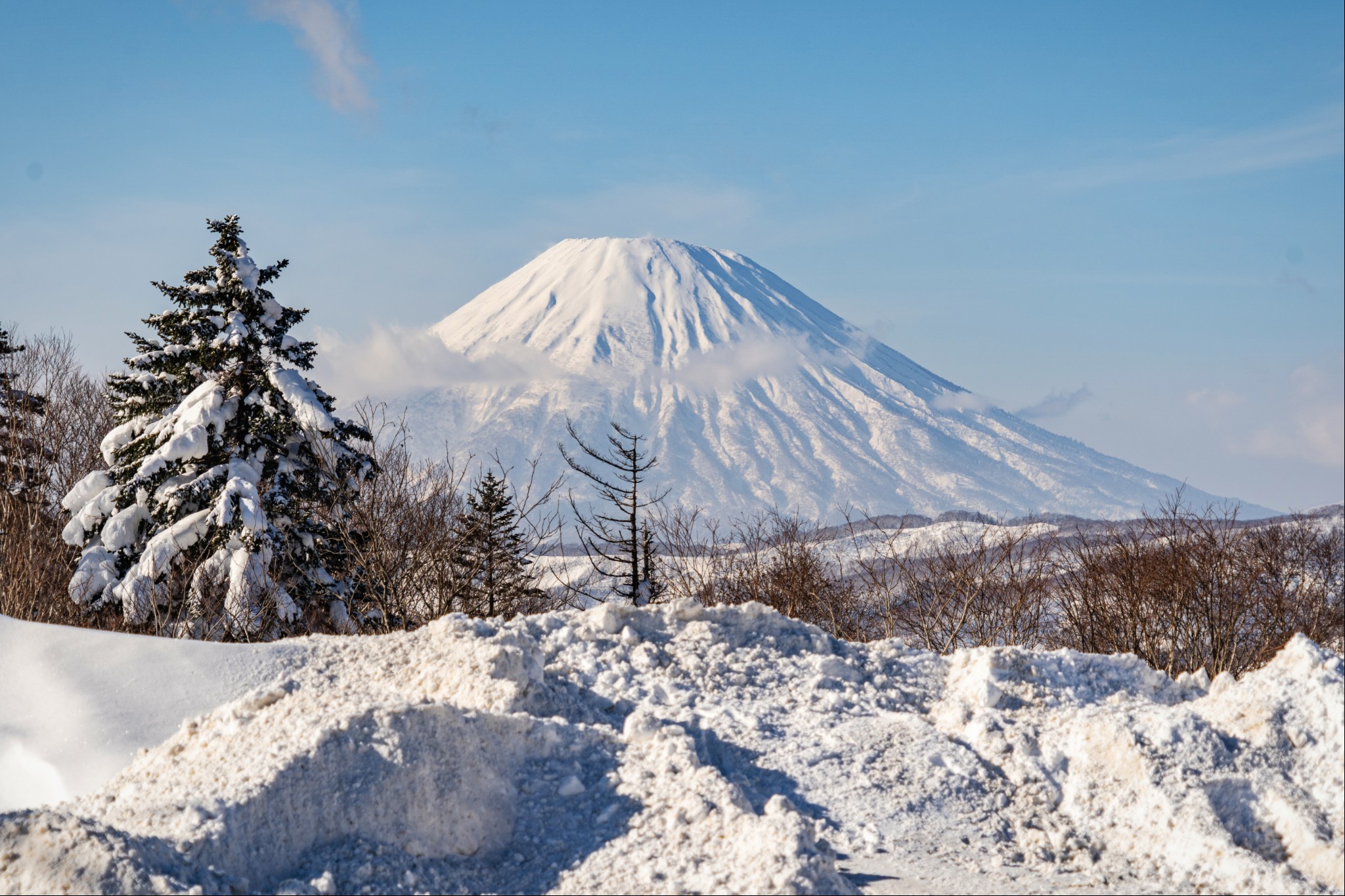 北海道自助遊攻略