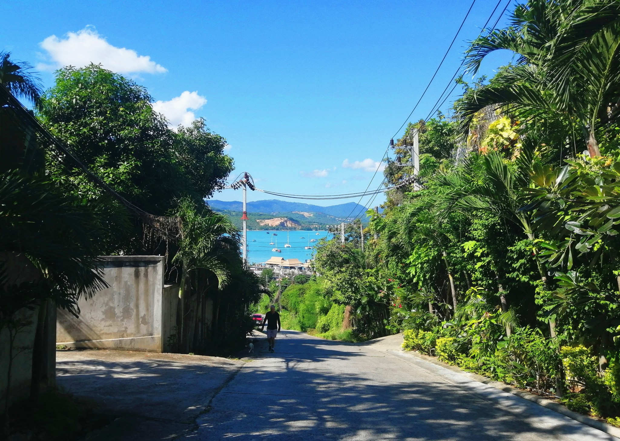 蘇梅島自助遊攻略