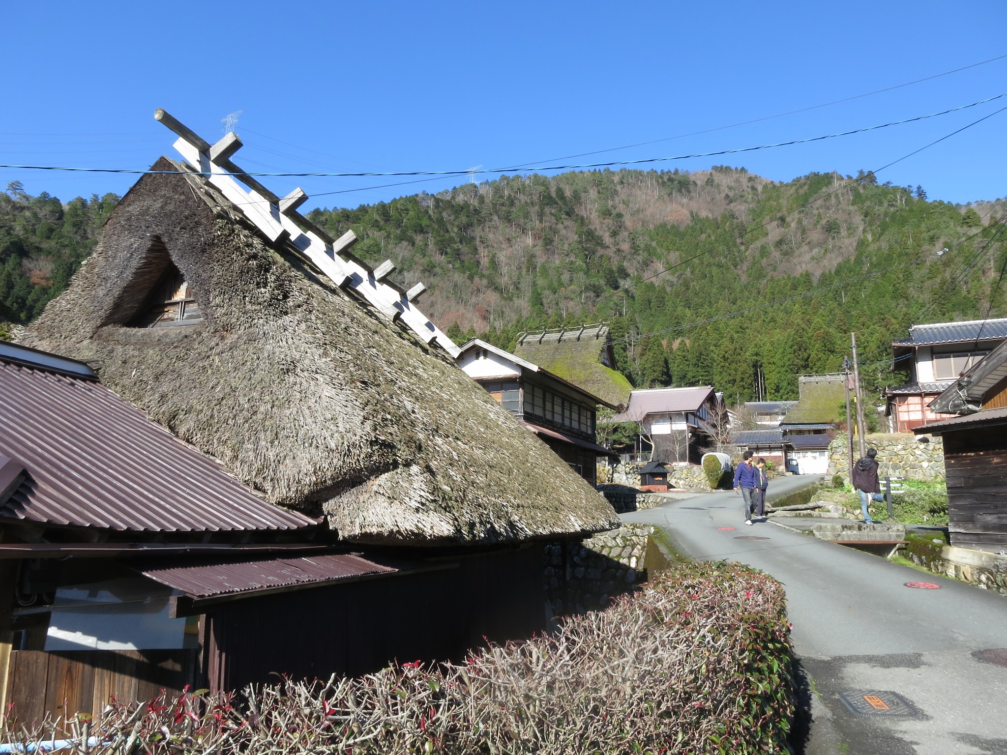 京都自助遊攻略