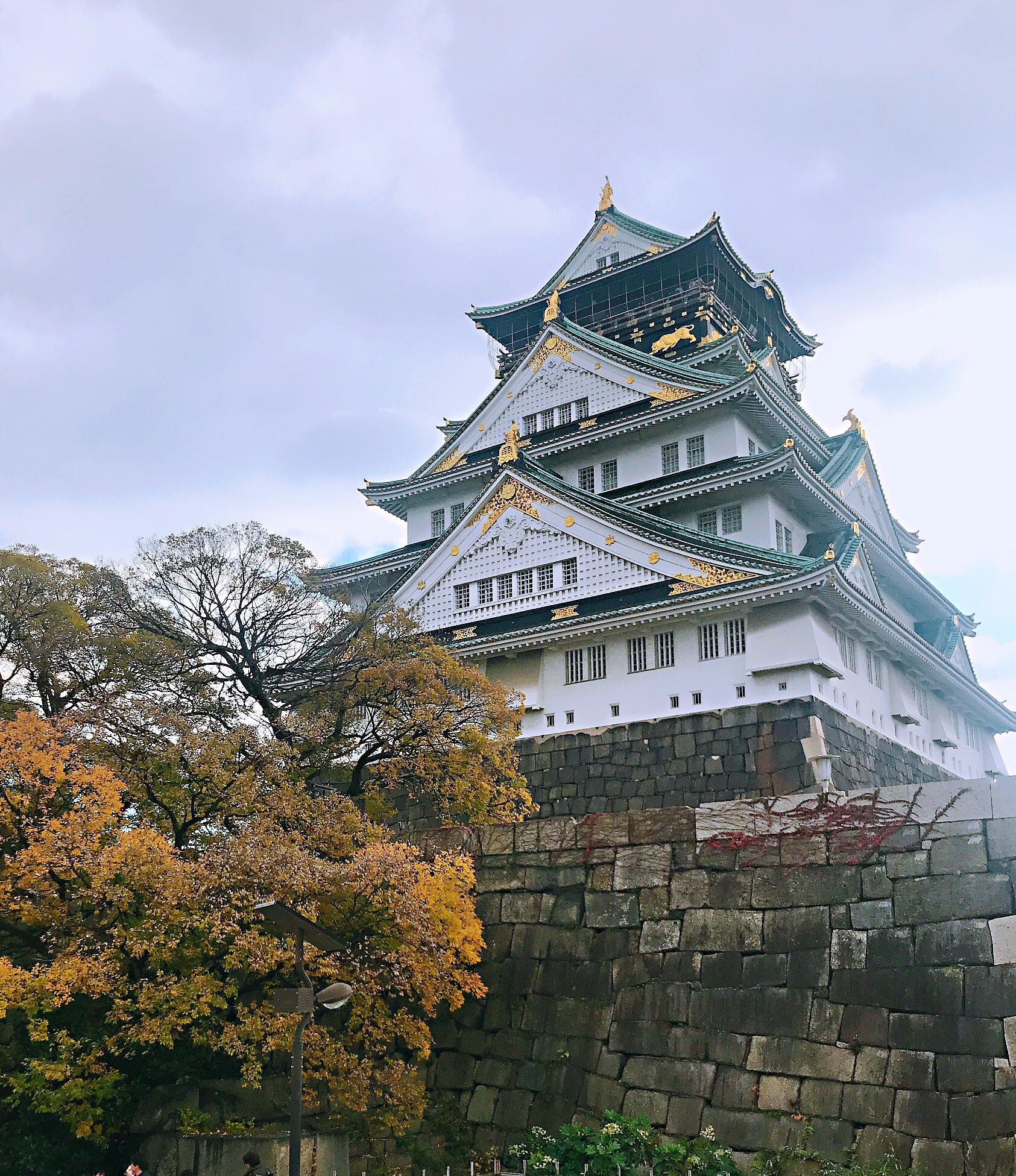 京都自助遊攻略