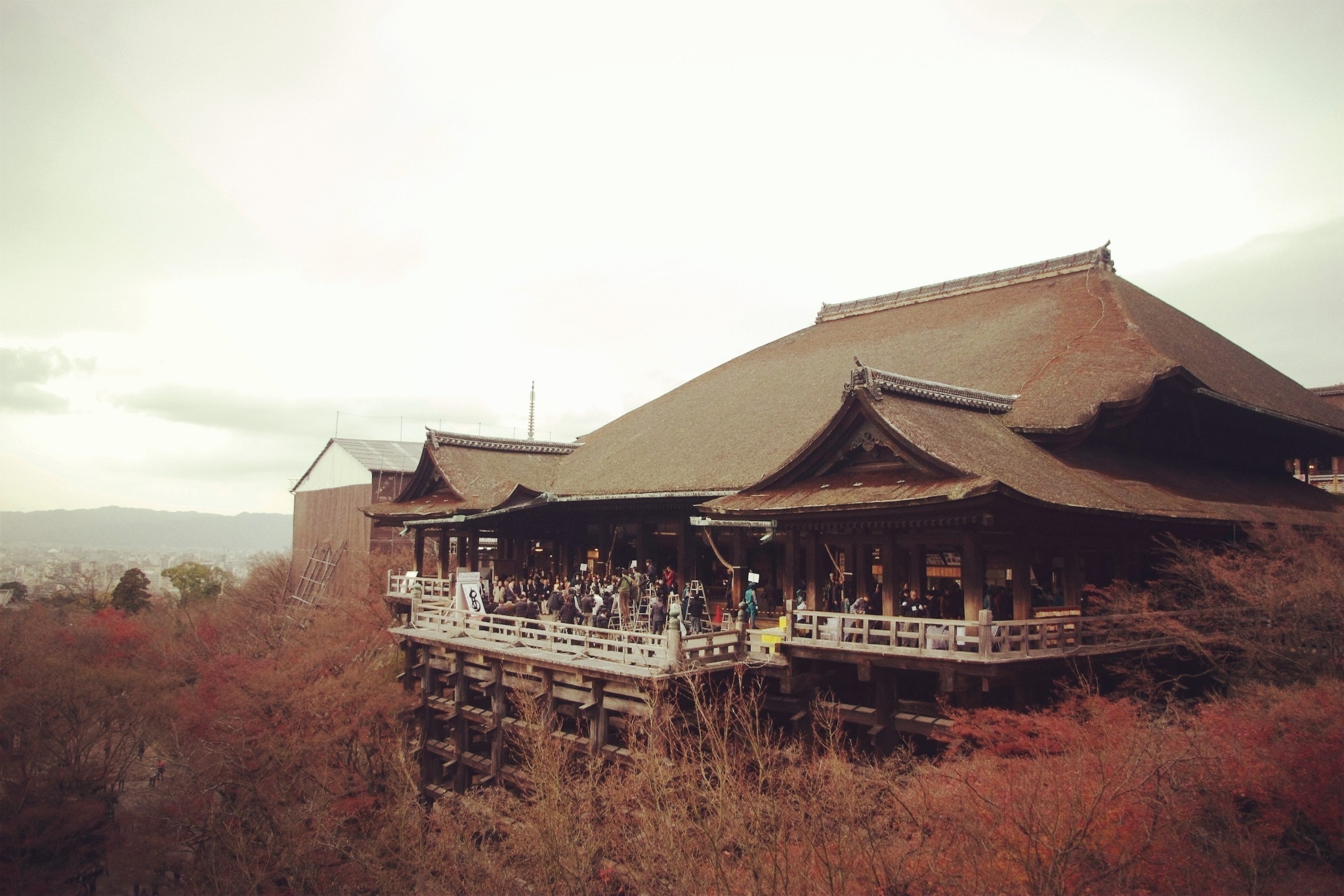 京都自助遊攻略