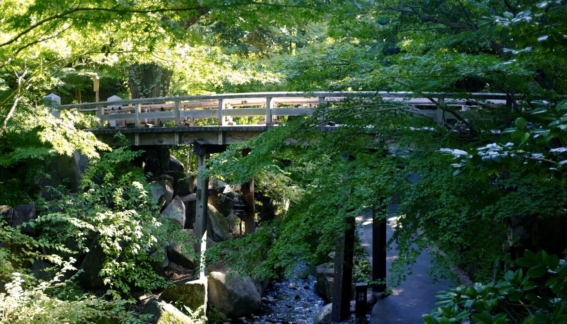 東京自助遊攻略