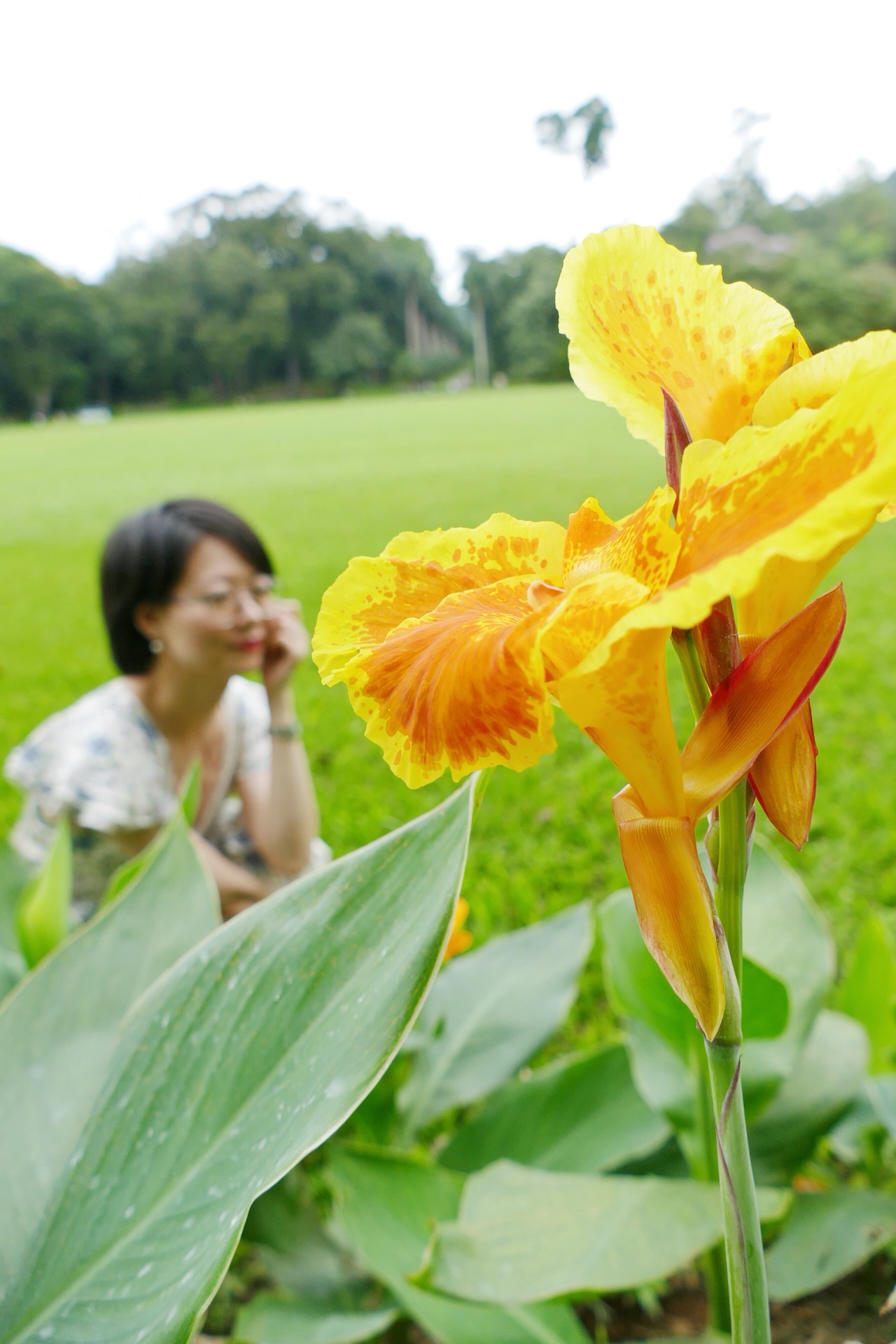 斯裡蘭卡自助遊攻略