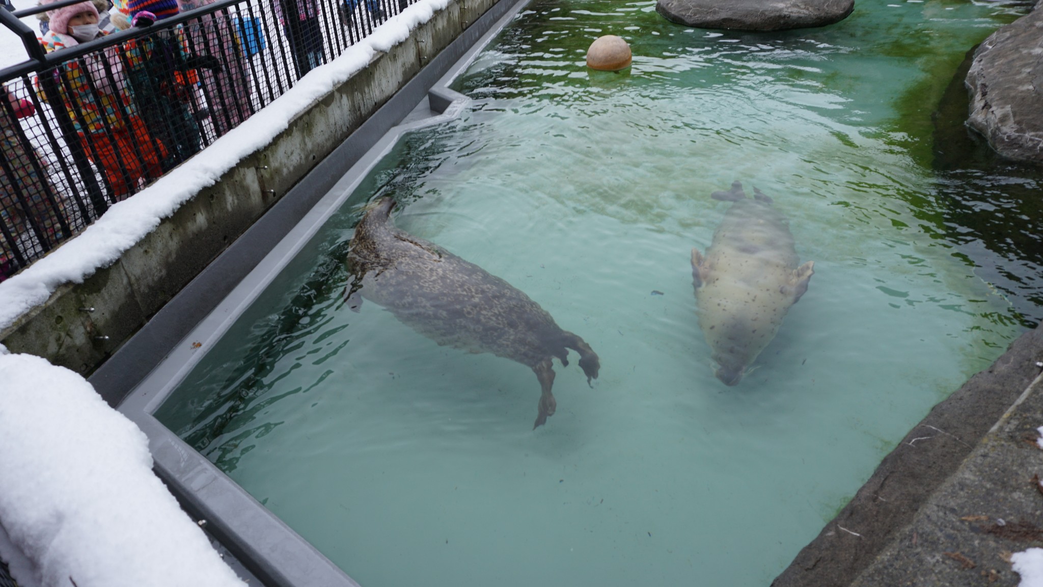 北海道自助遊攻略