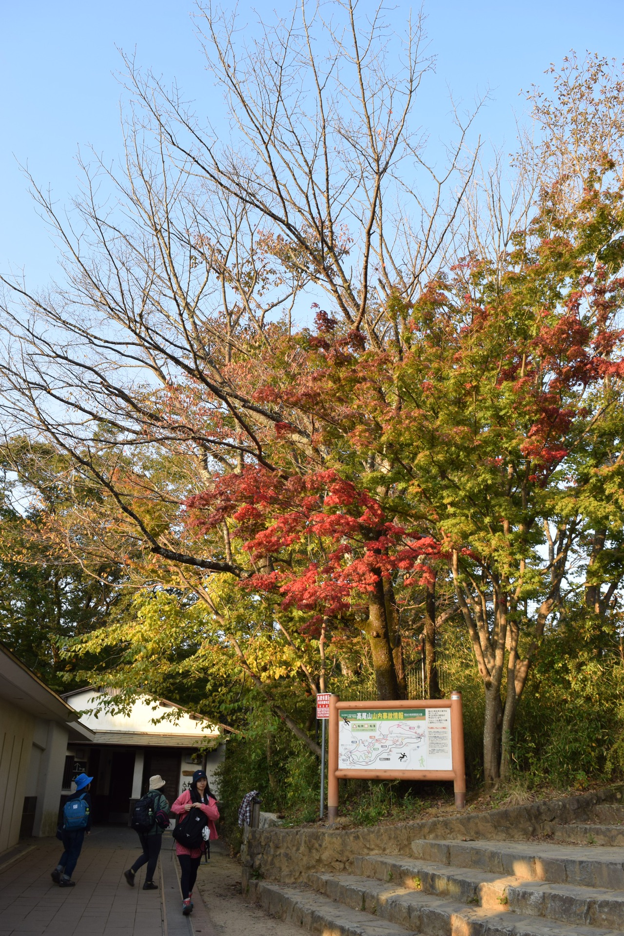 東京自助遊攻略