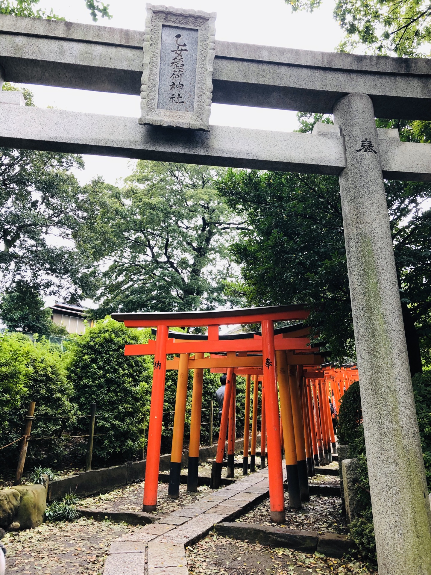 银座东京塔day3  悠闲的公园时光涩谷台场海滨公园六本木hillsday4