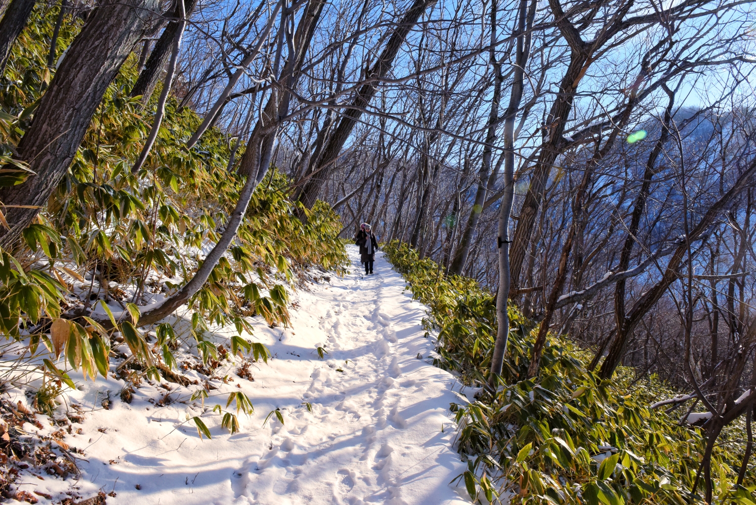 北海道自助遊攻略