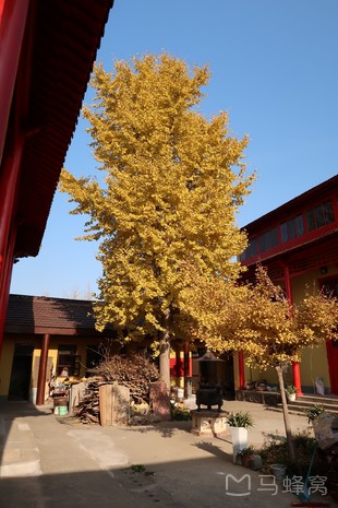 目的地 > 泗阳县 > 梵音寺图片 梵音寺图片 ( 20 张照片) 查看详情 没