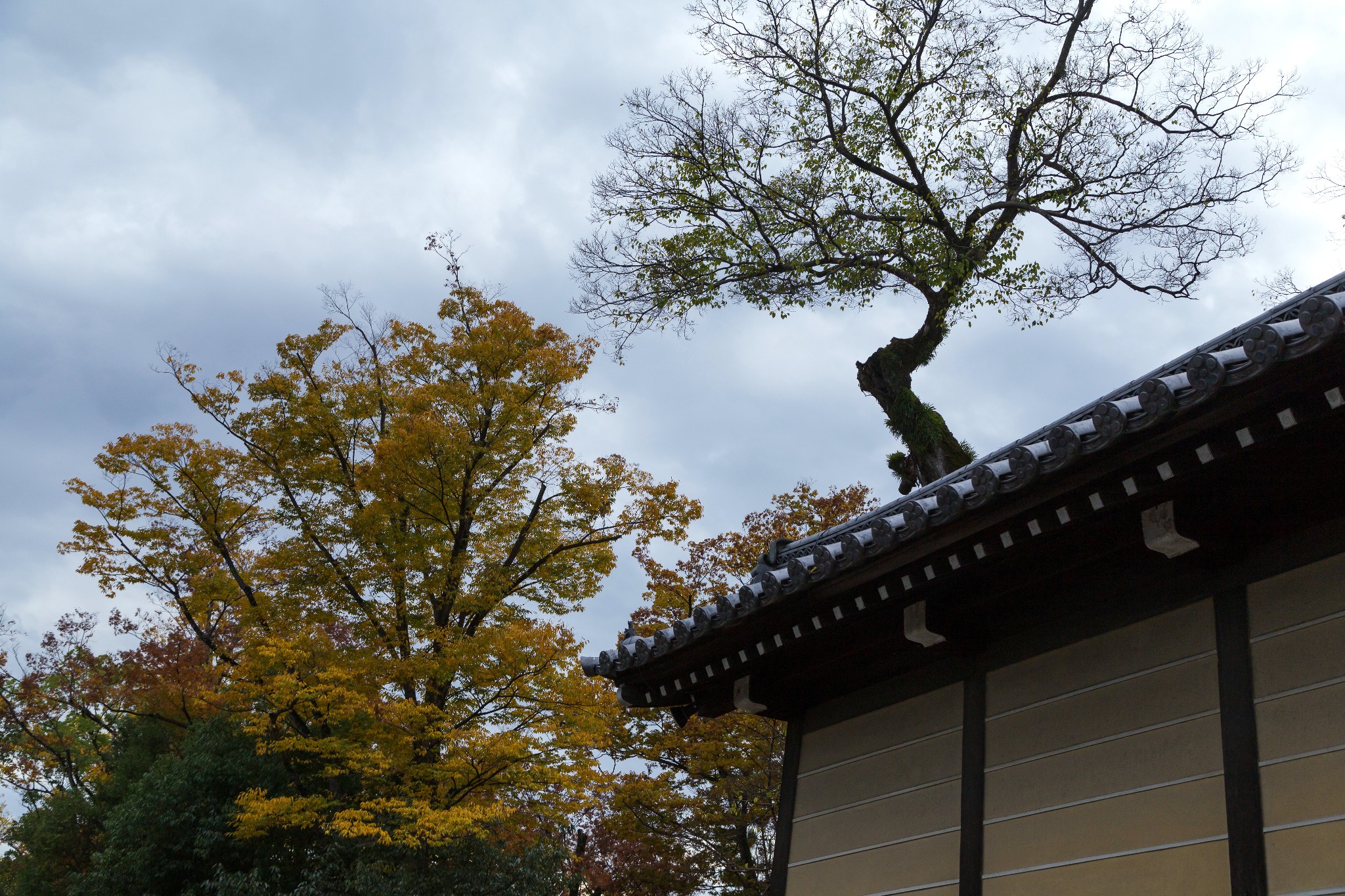 京都自助遊攻略