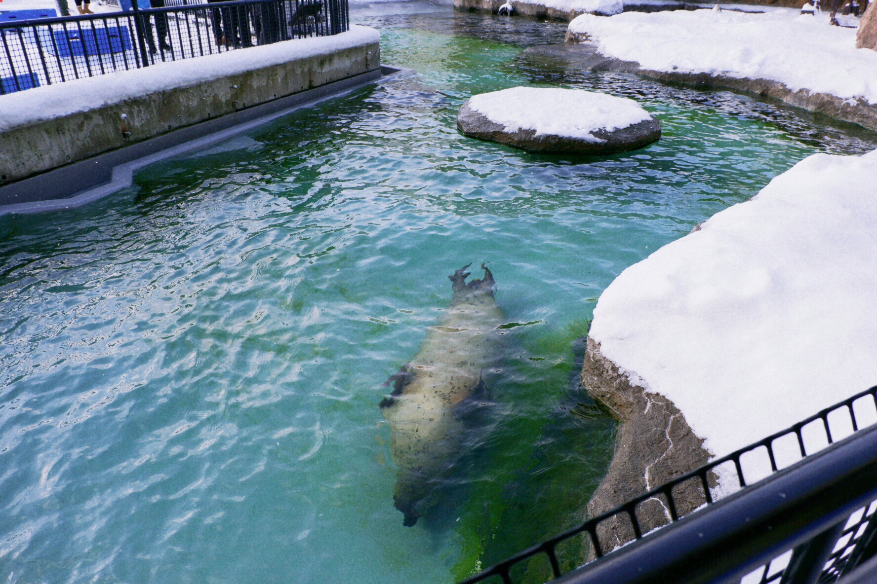 北海道自助遊攻略