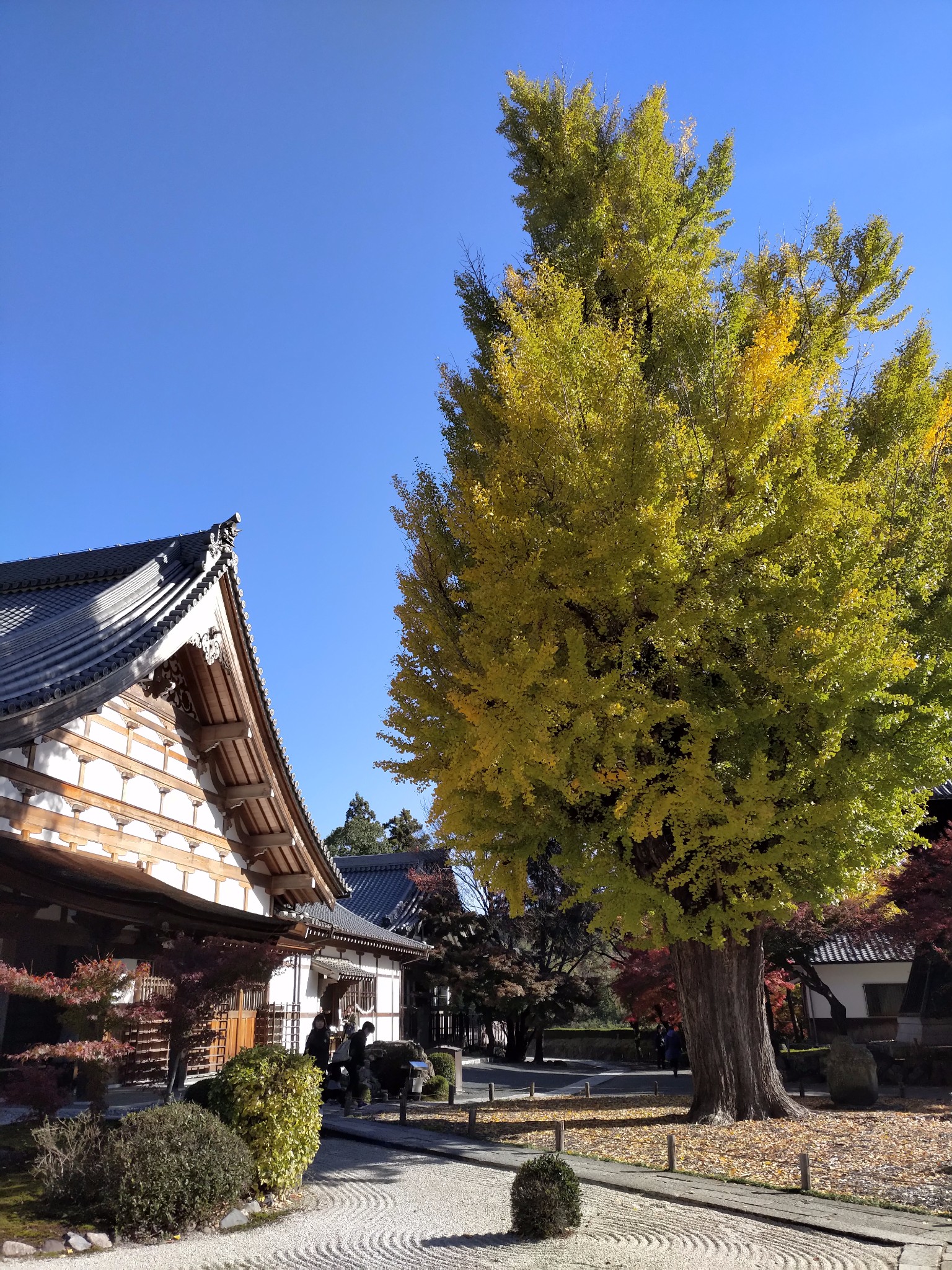 名古屋自助遊攻略