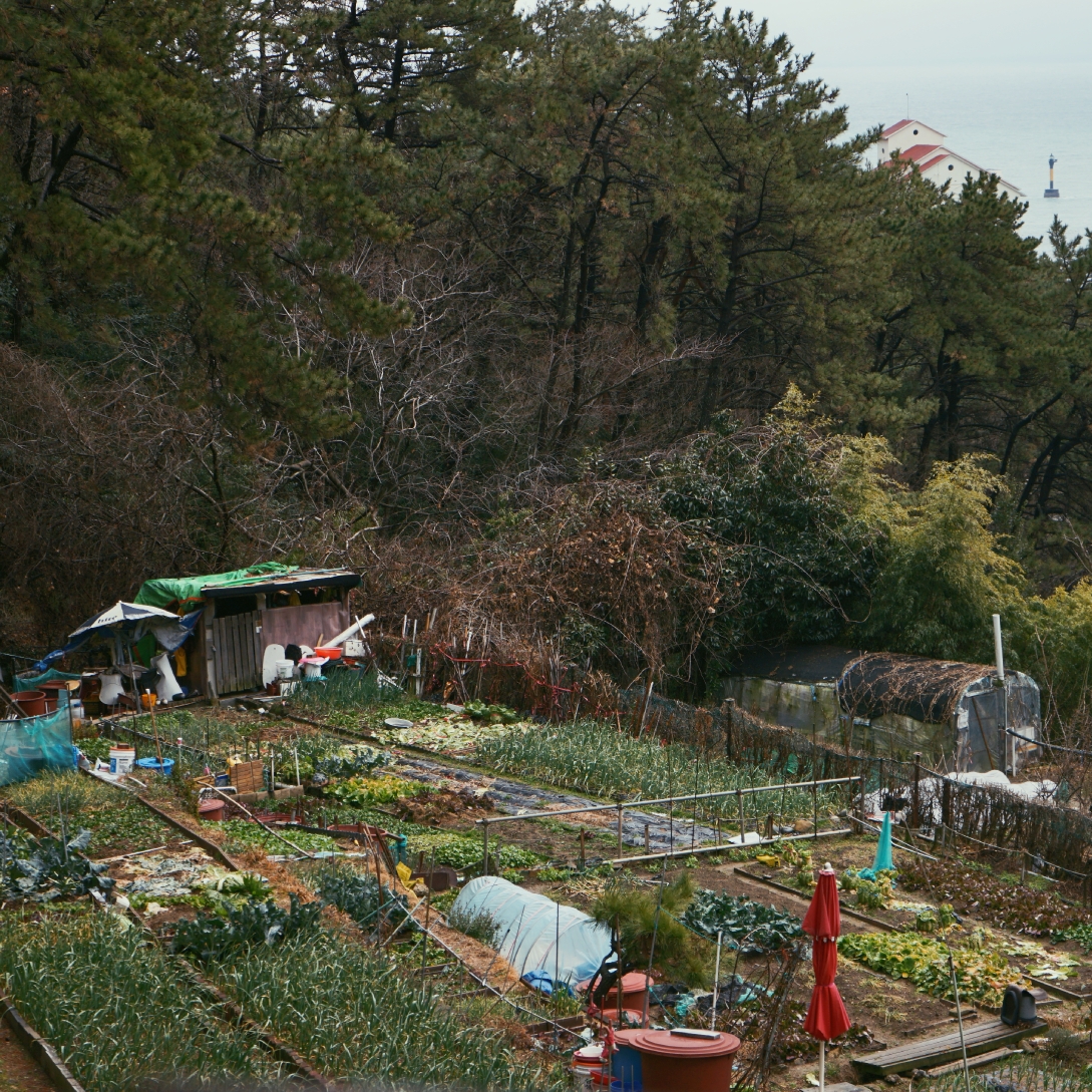 釜山自助遊攻略