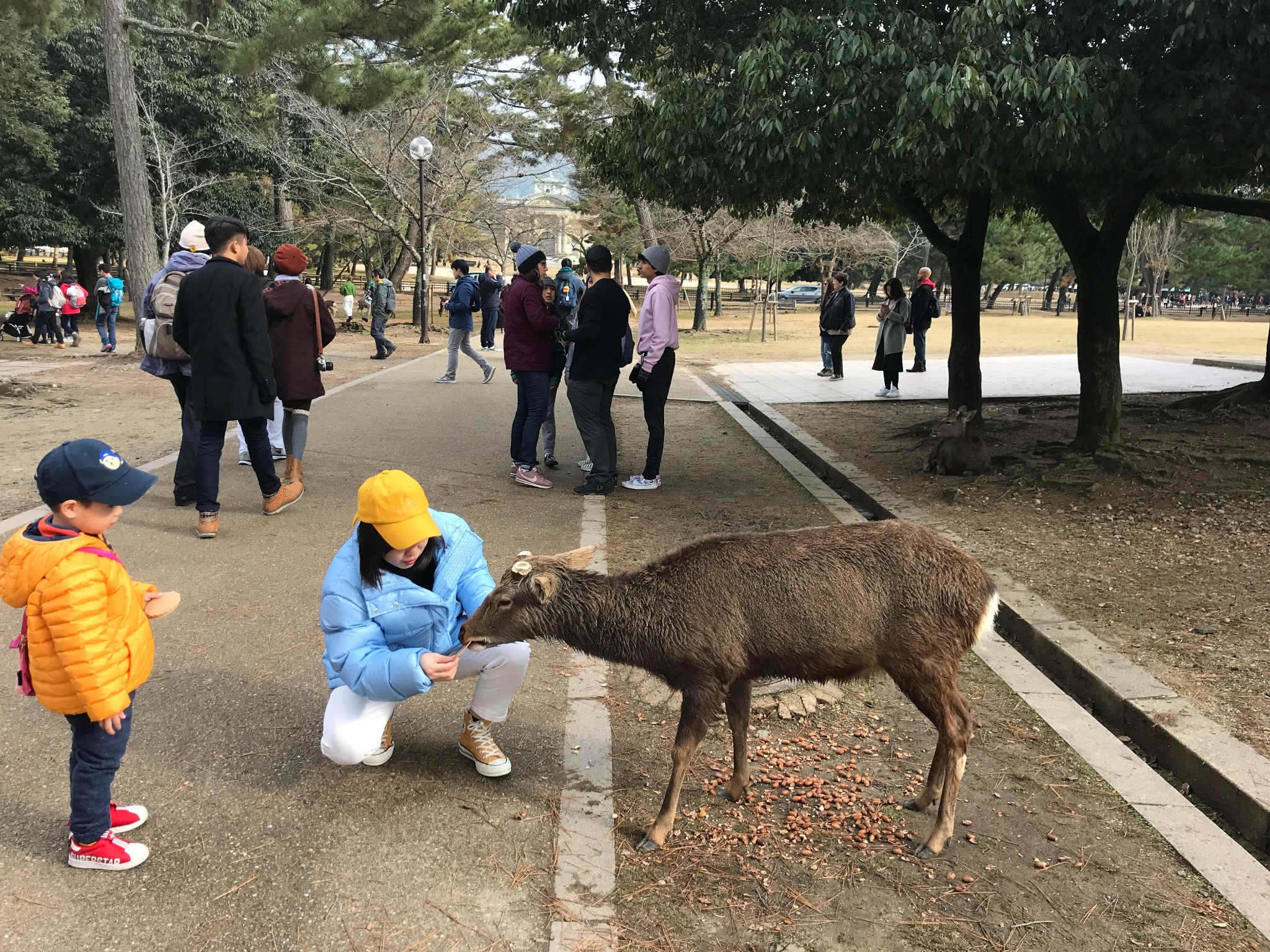 大阪自助遊攻略