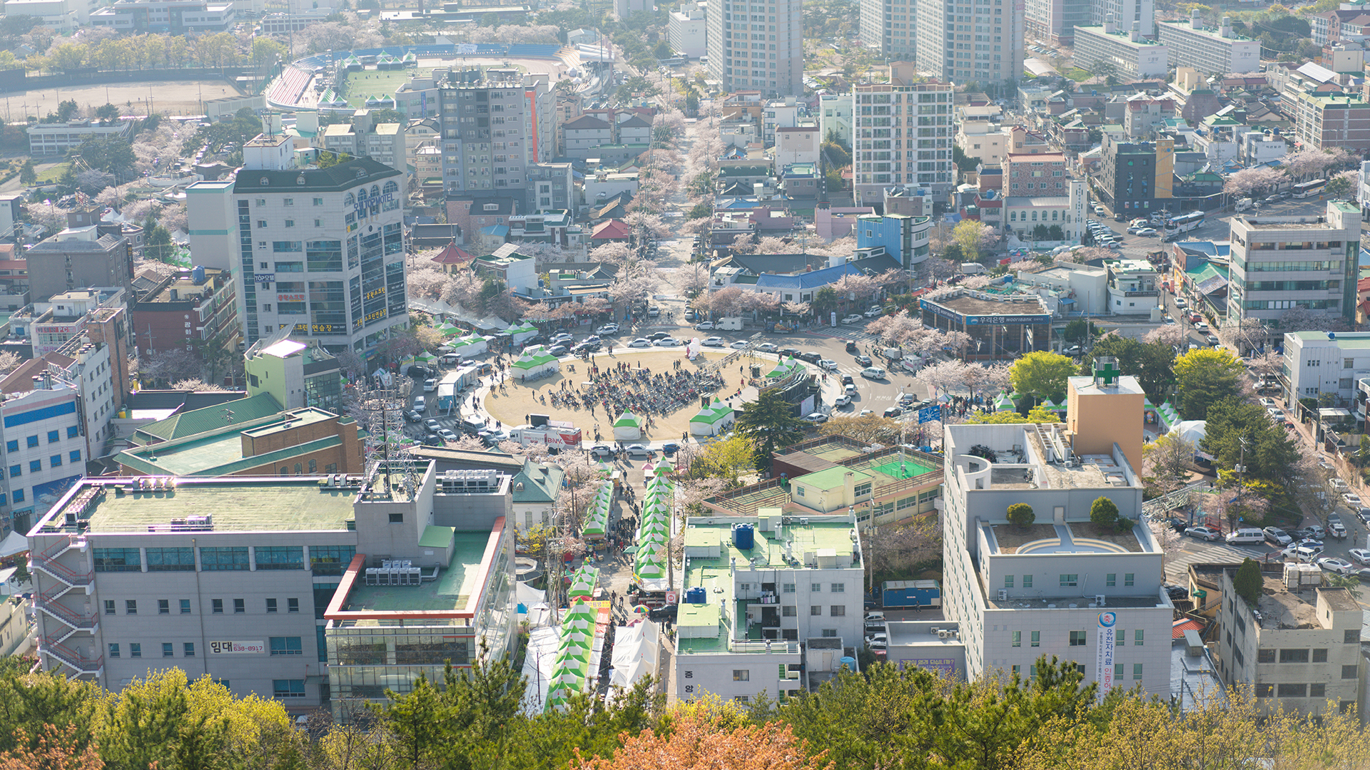 釜山自助遊攻略