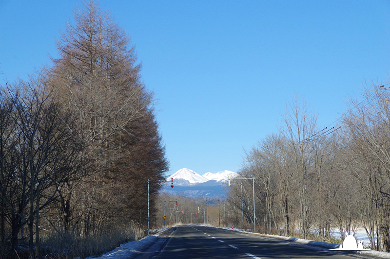 北海道自助遊攻略