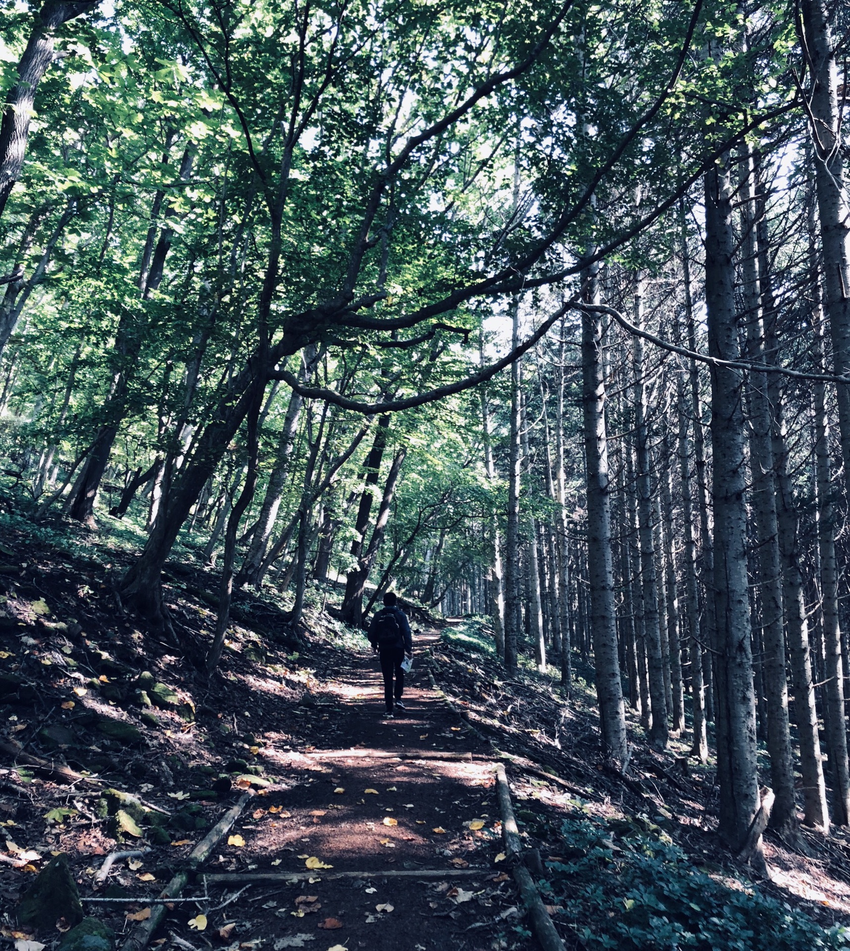 北海道自助遊攻略