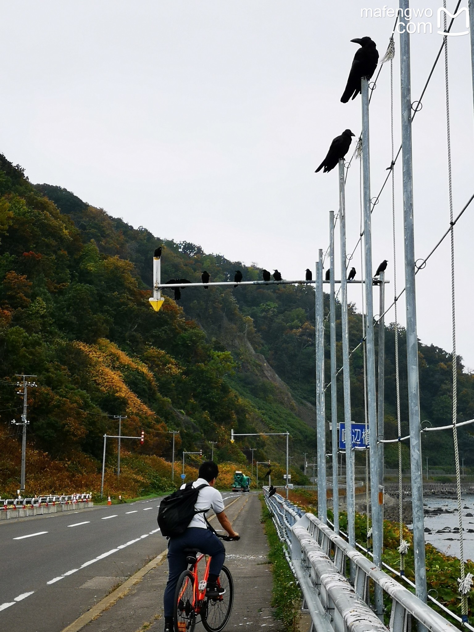 北海道自助遊攻略