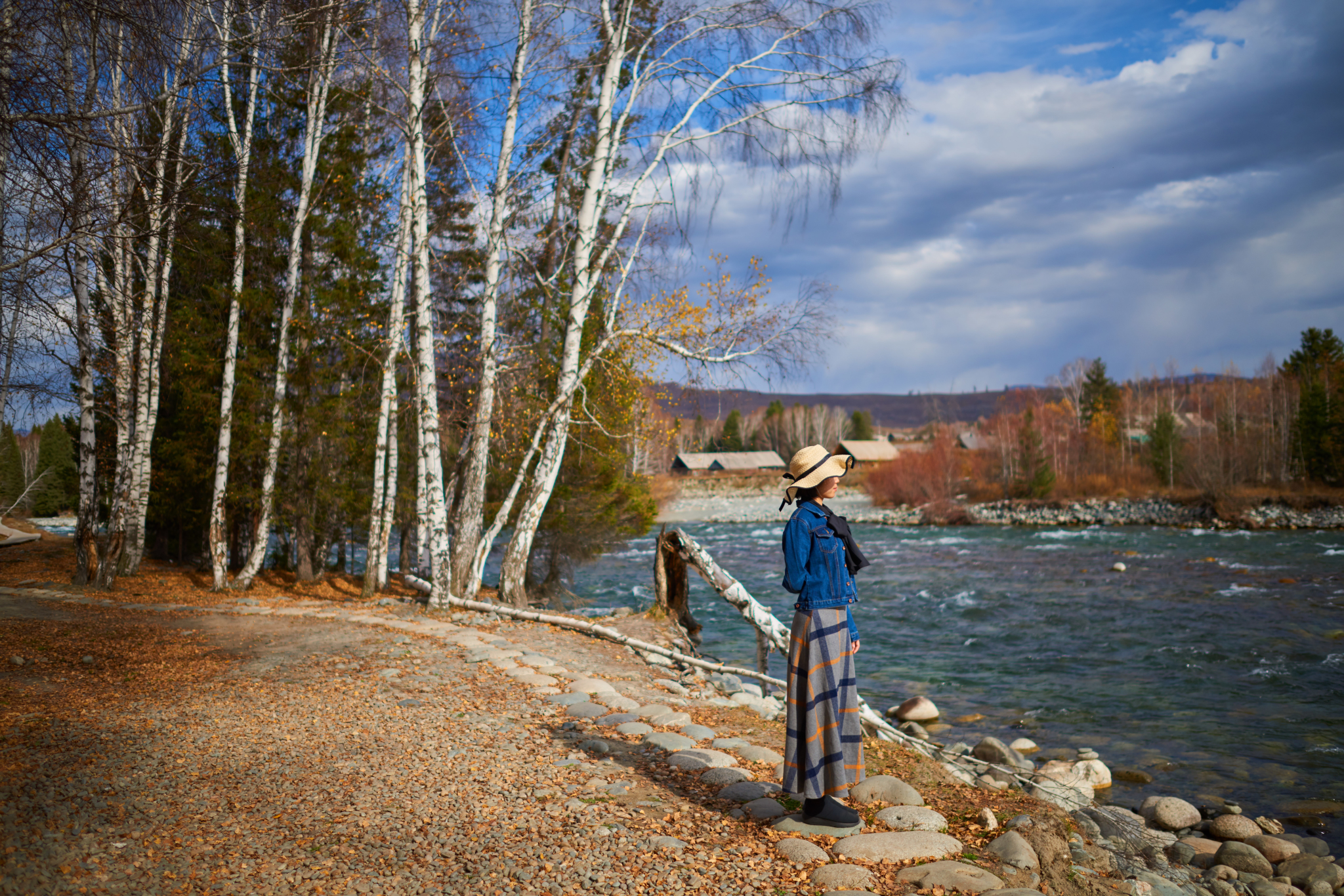 新疆喀纳斯北纬48度的秋天
