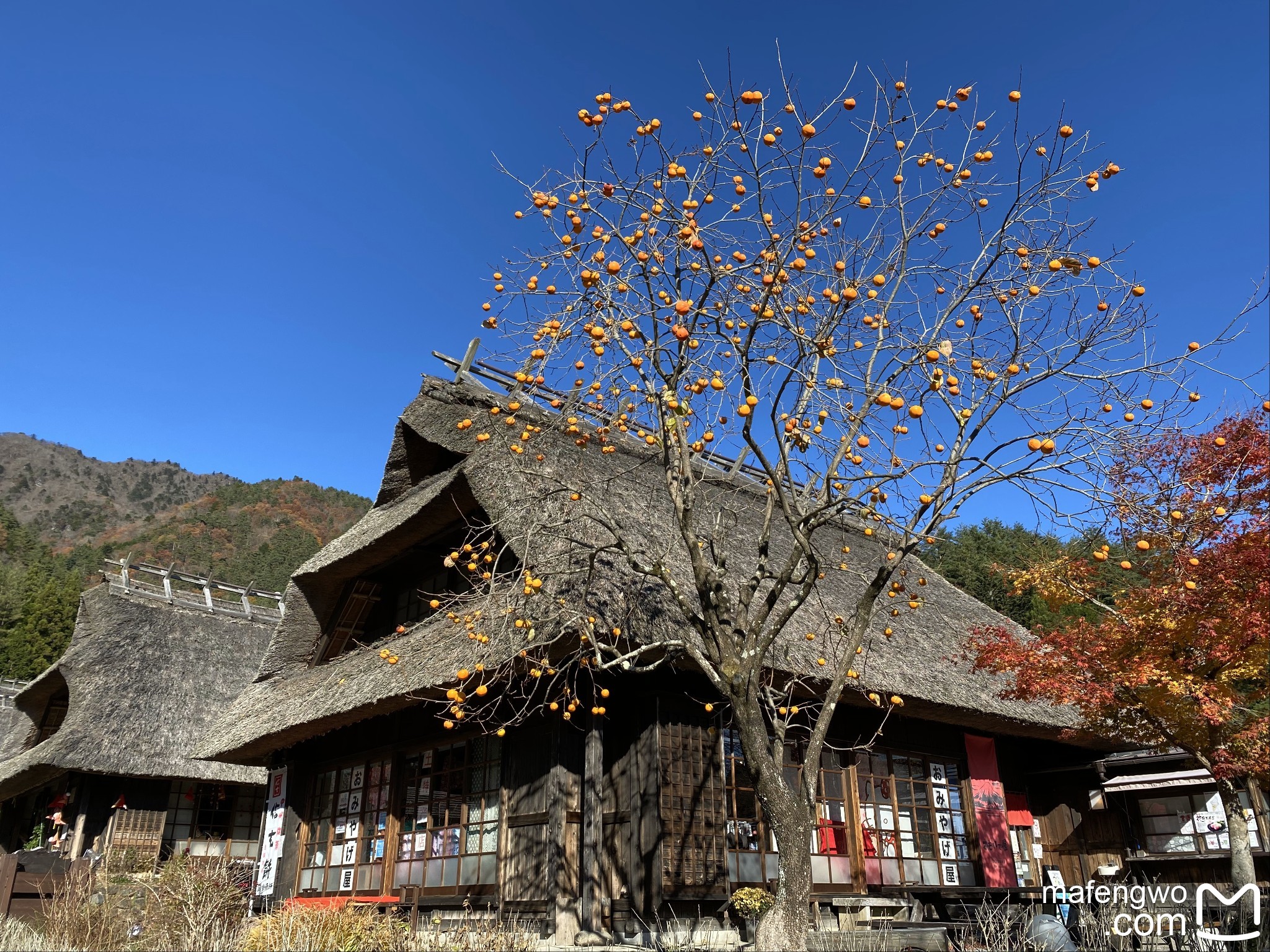 富士山自助遊攻略