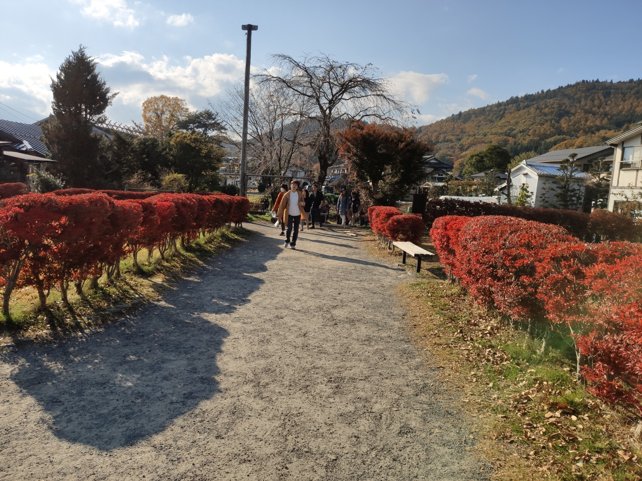 富士山自助遊攻略