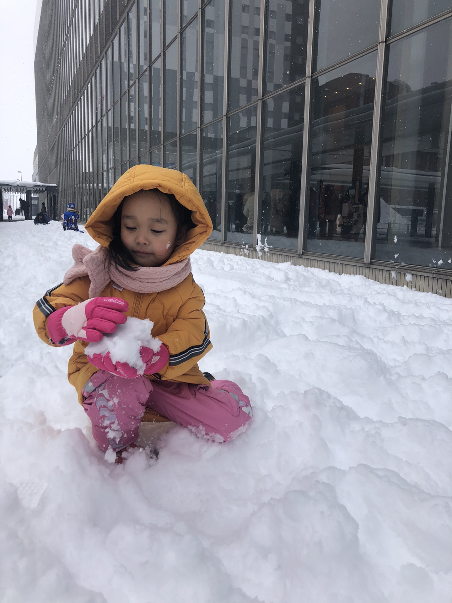 北海道自助遊攻略