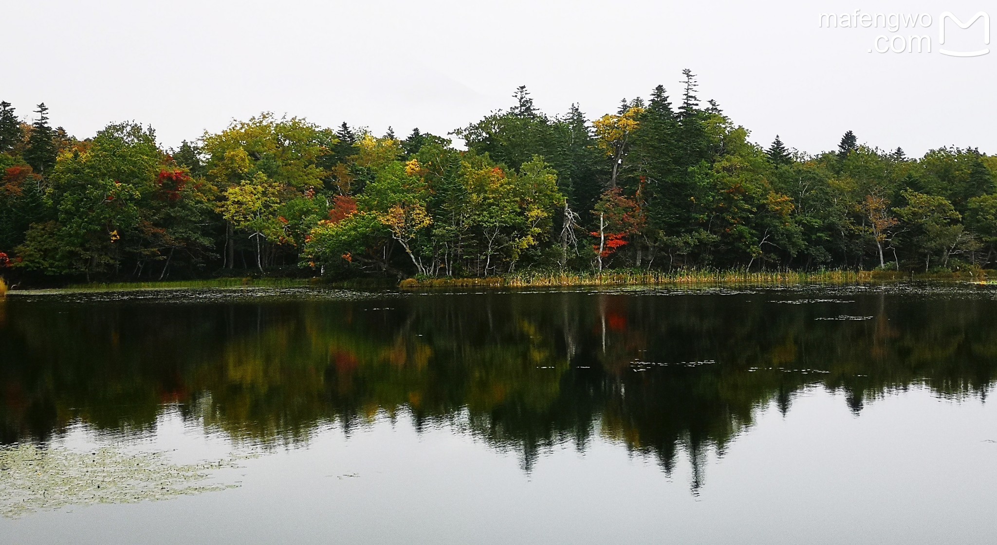 北海道自助遊攻略