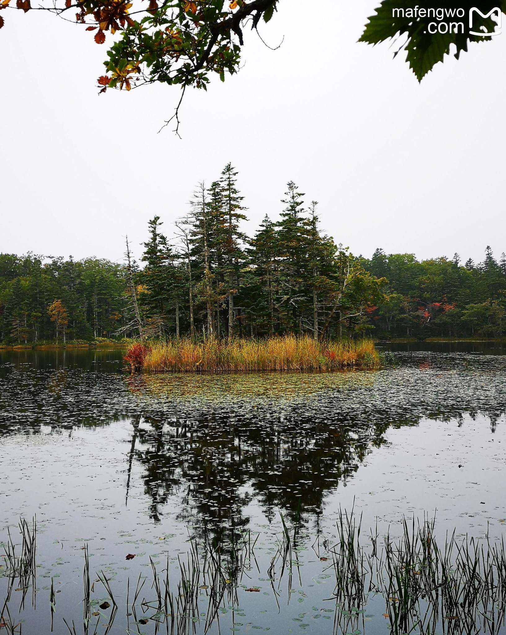 北海道自助遊攻略