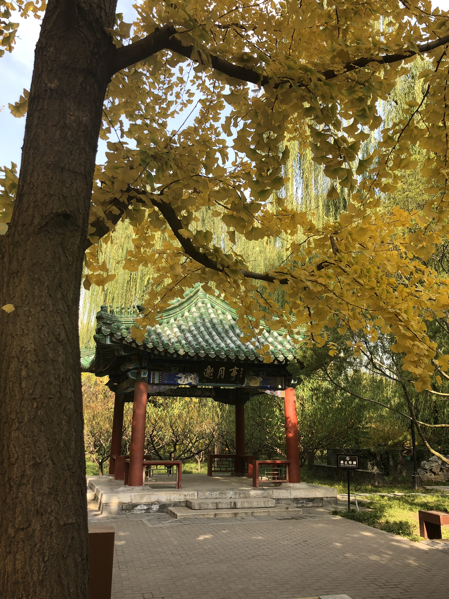 北京的秋天-月坛