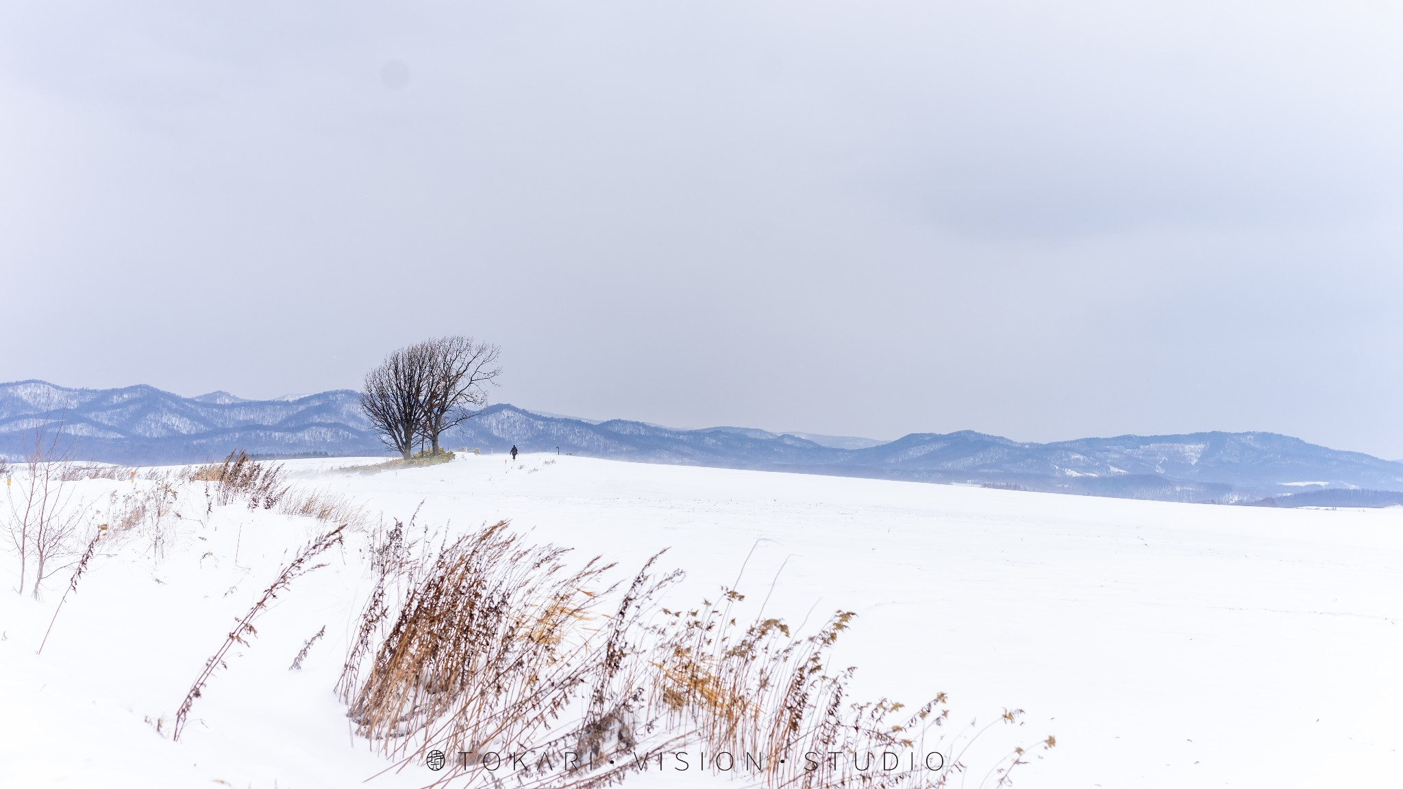 北海道自助遊攻略