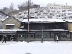 札幌自助遊攻略